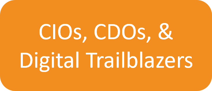 Guide CIO.png