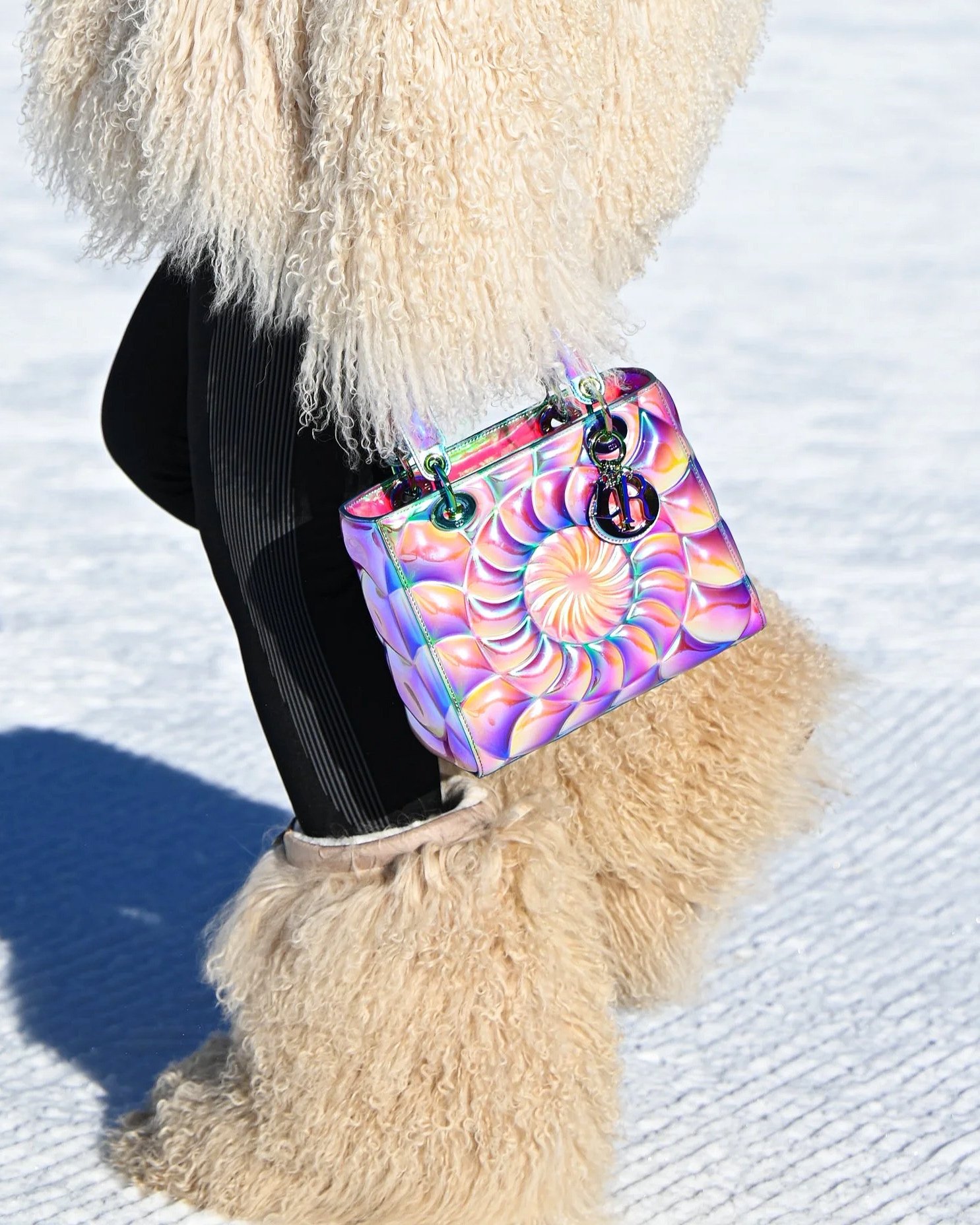 AZ_240128_snowpolo014.jpg