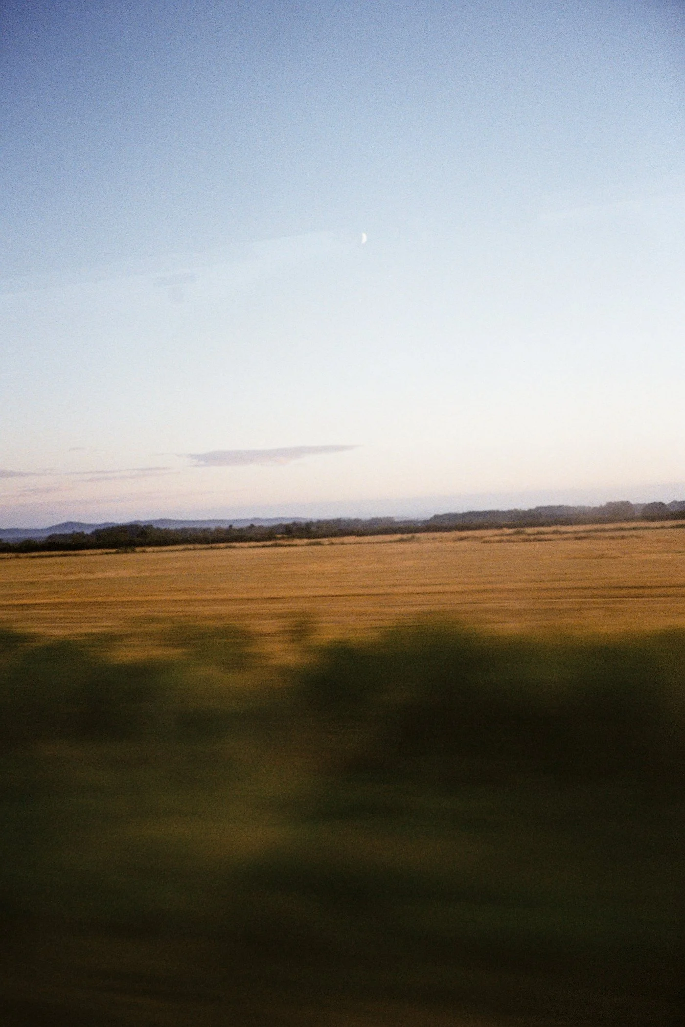 Negative0-04-03(1).jpg
