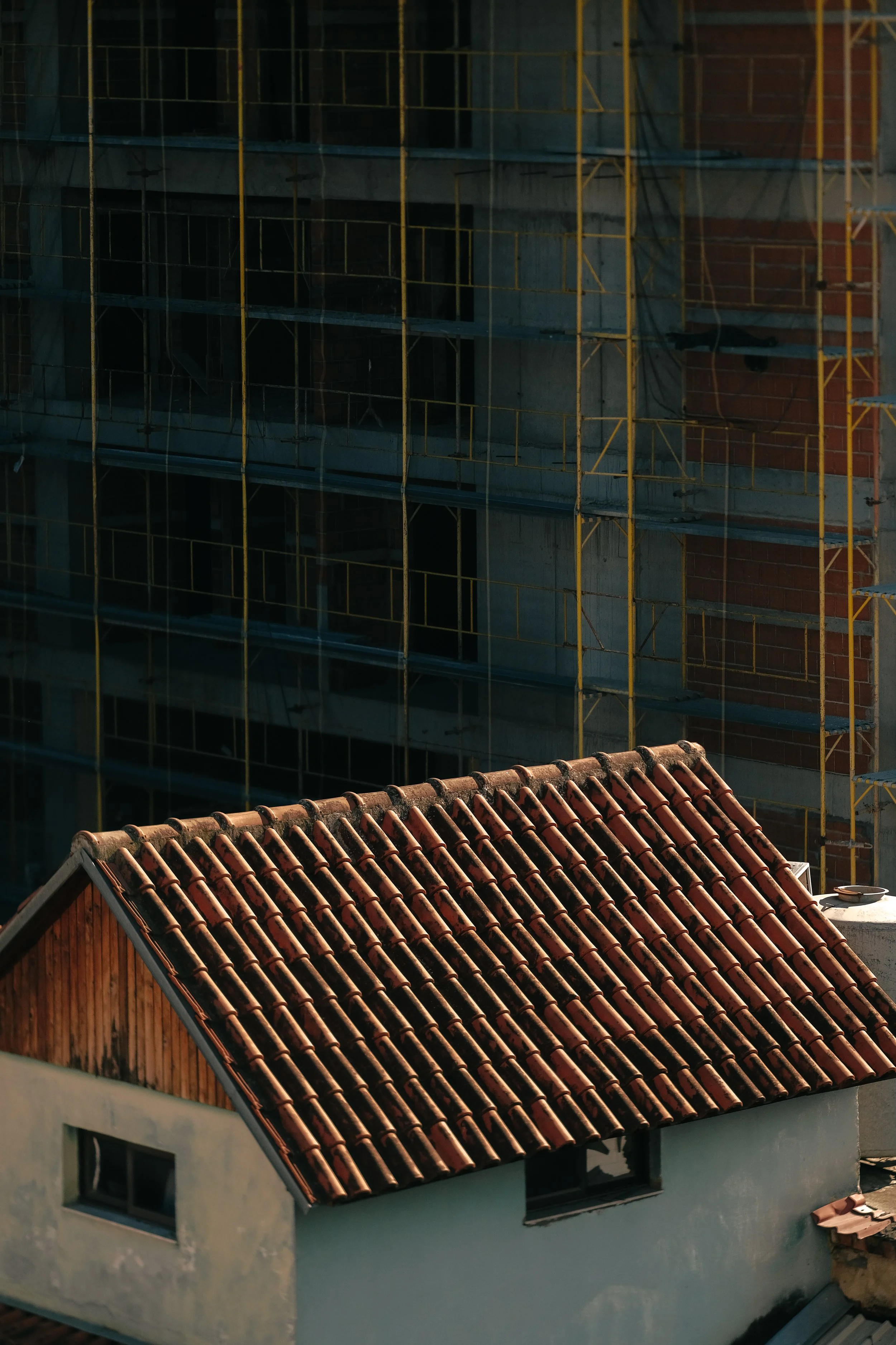 _DSF2794.jpg