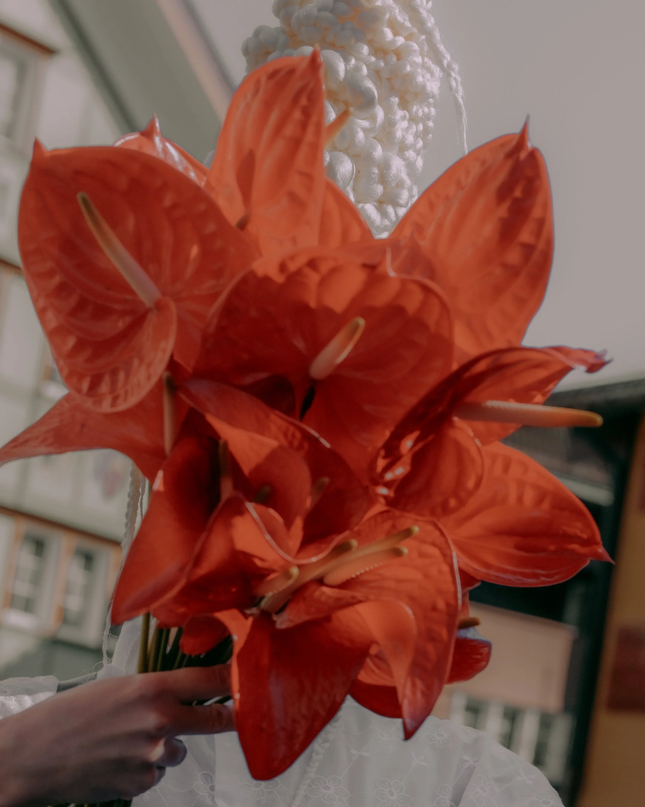 DSCF6231.jpg