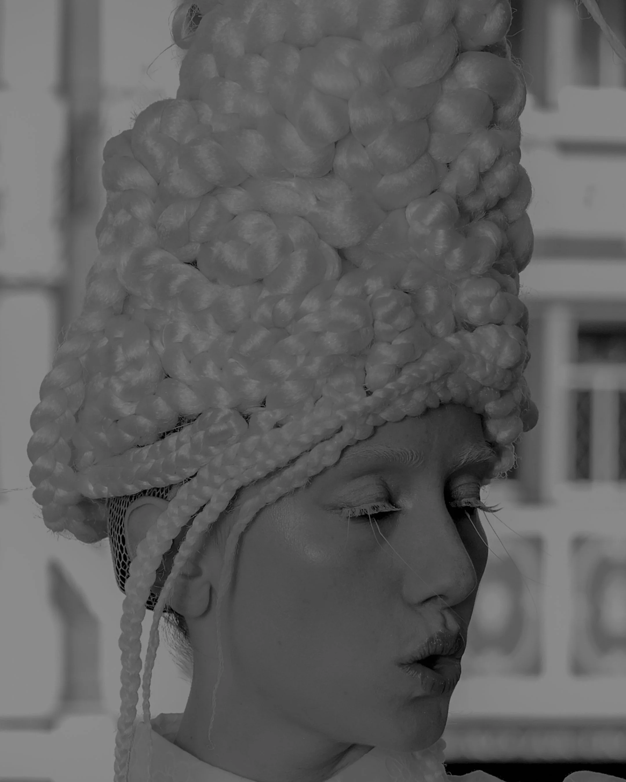DSCF6253.jpg