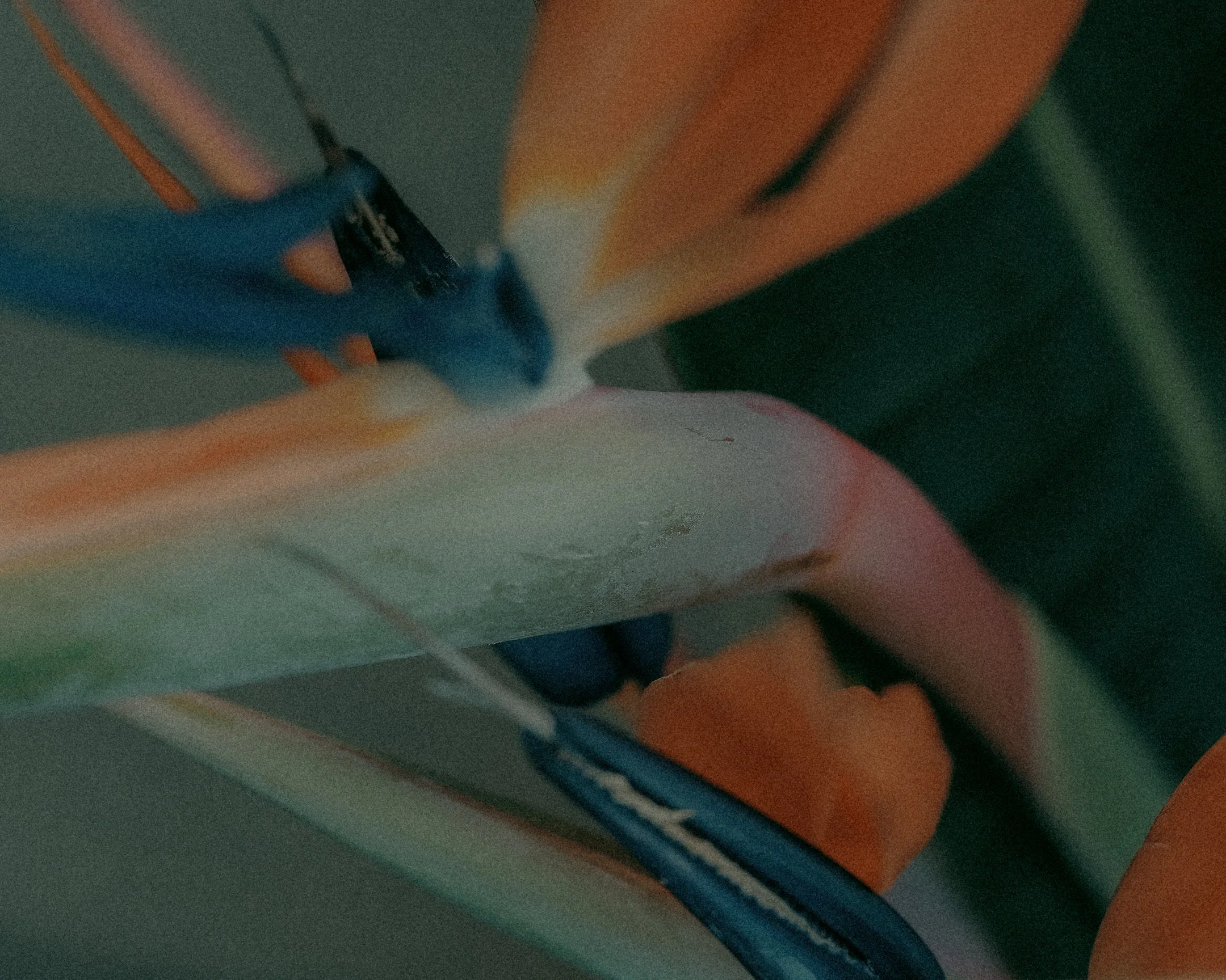DSCF6722.jpg