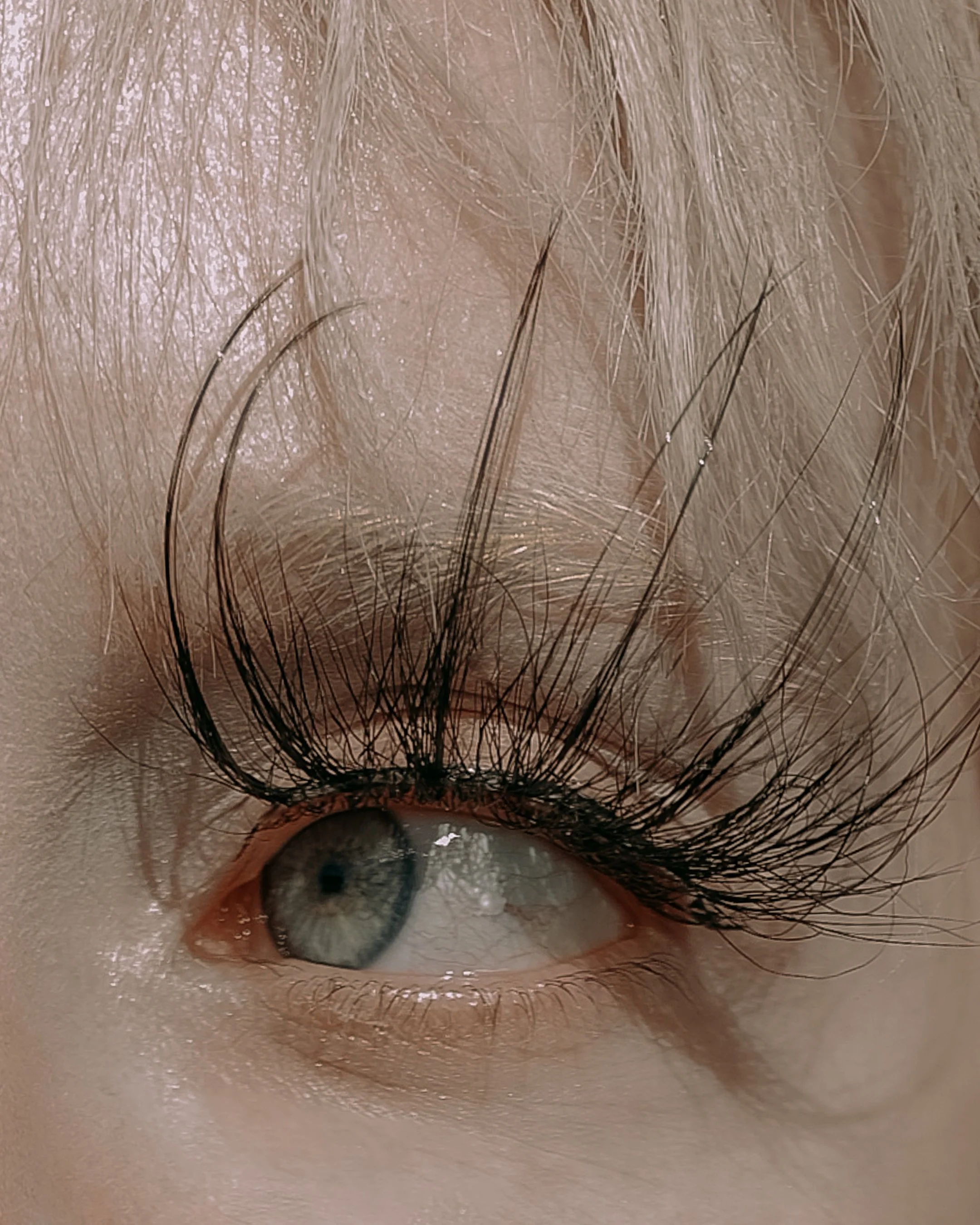 DSCF6820.jpg