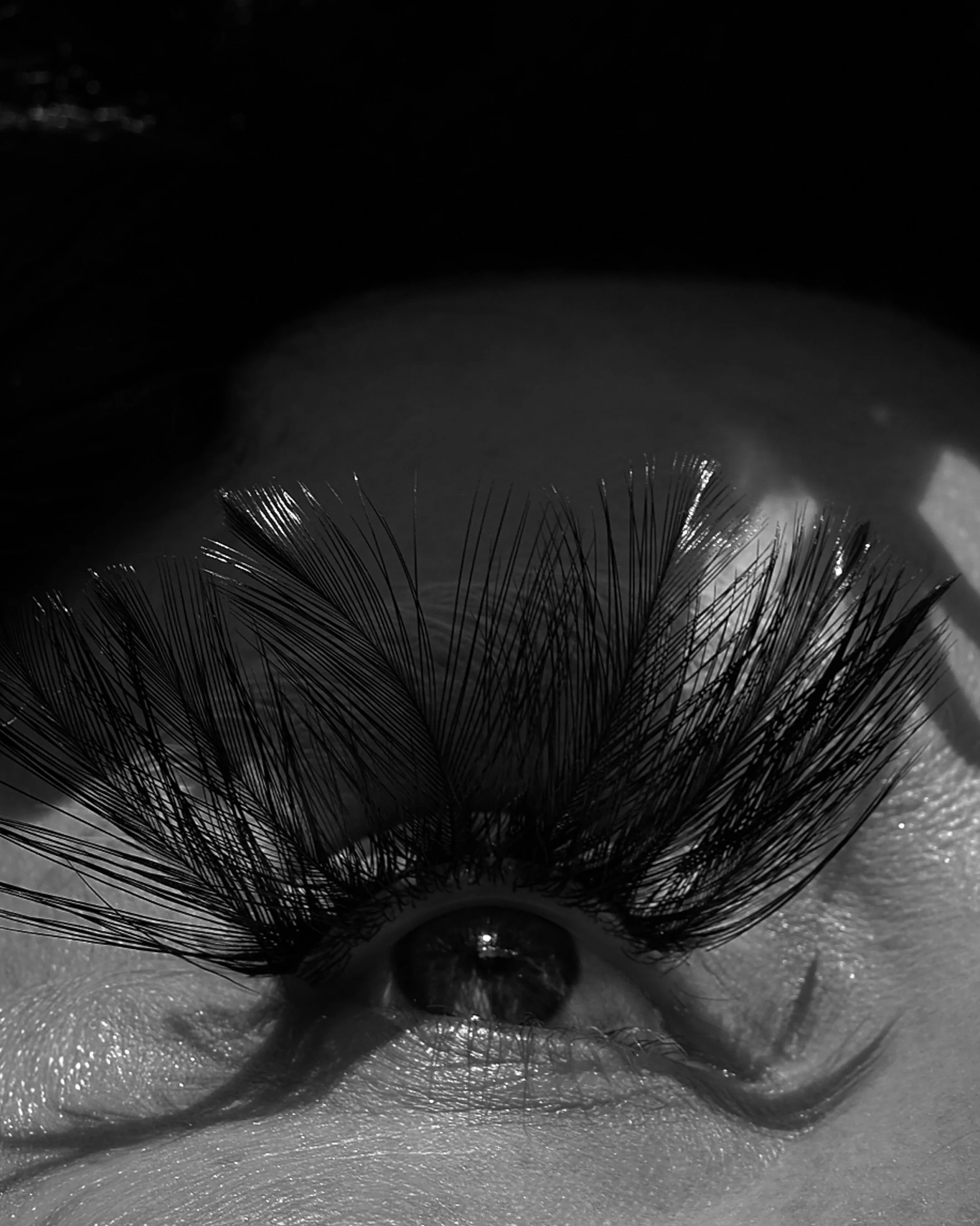 DSCF6851.jpg