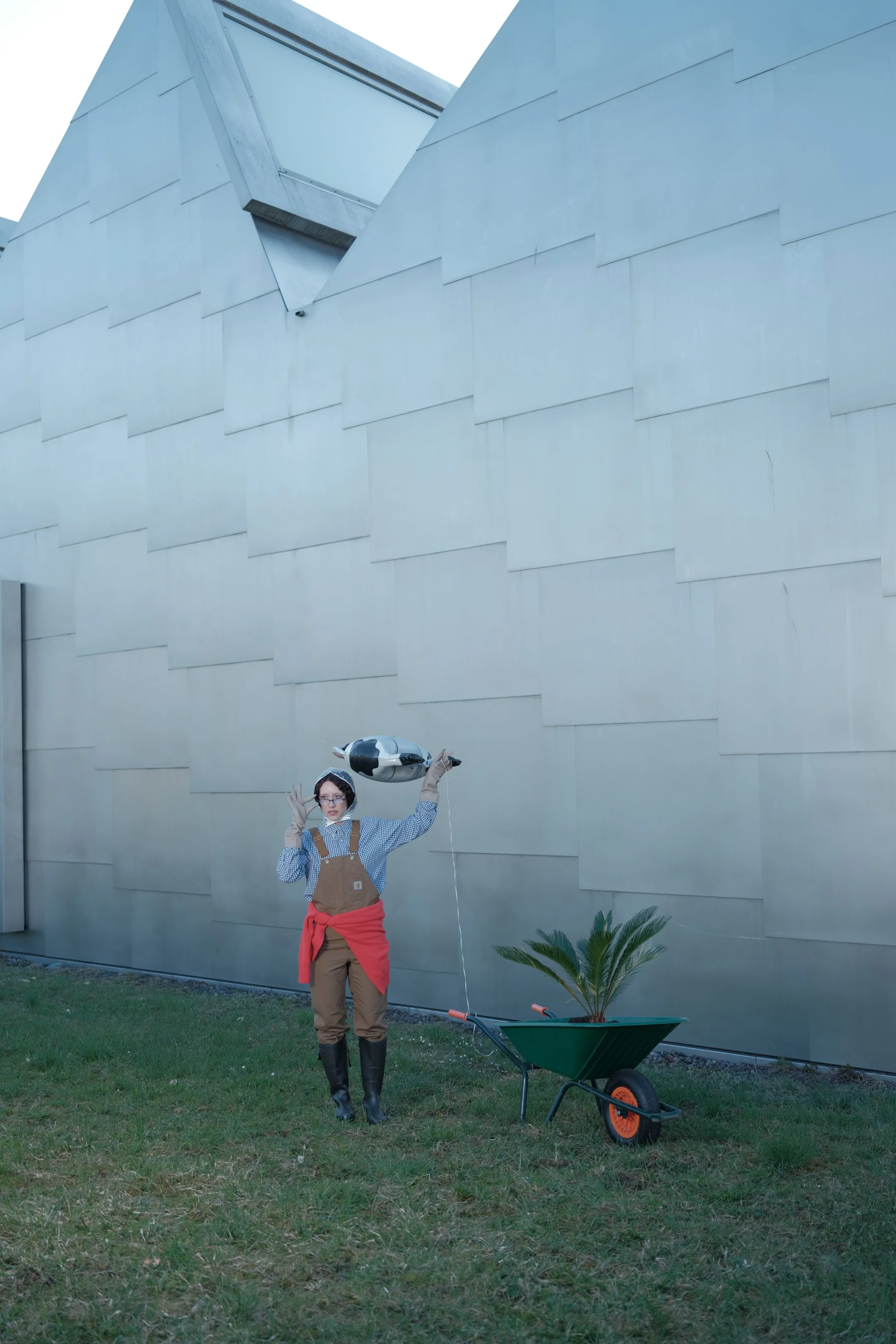 DSCF6914.jpg