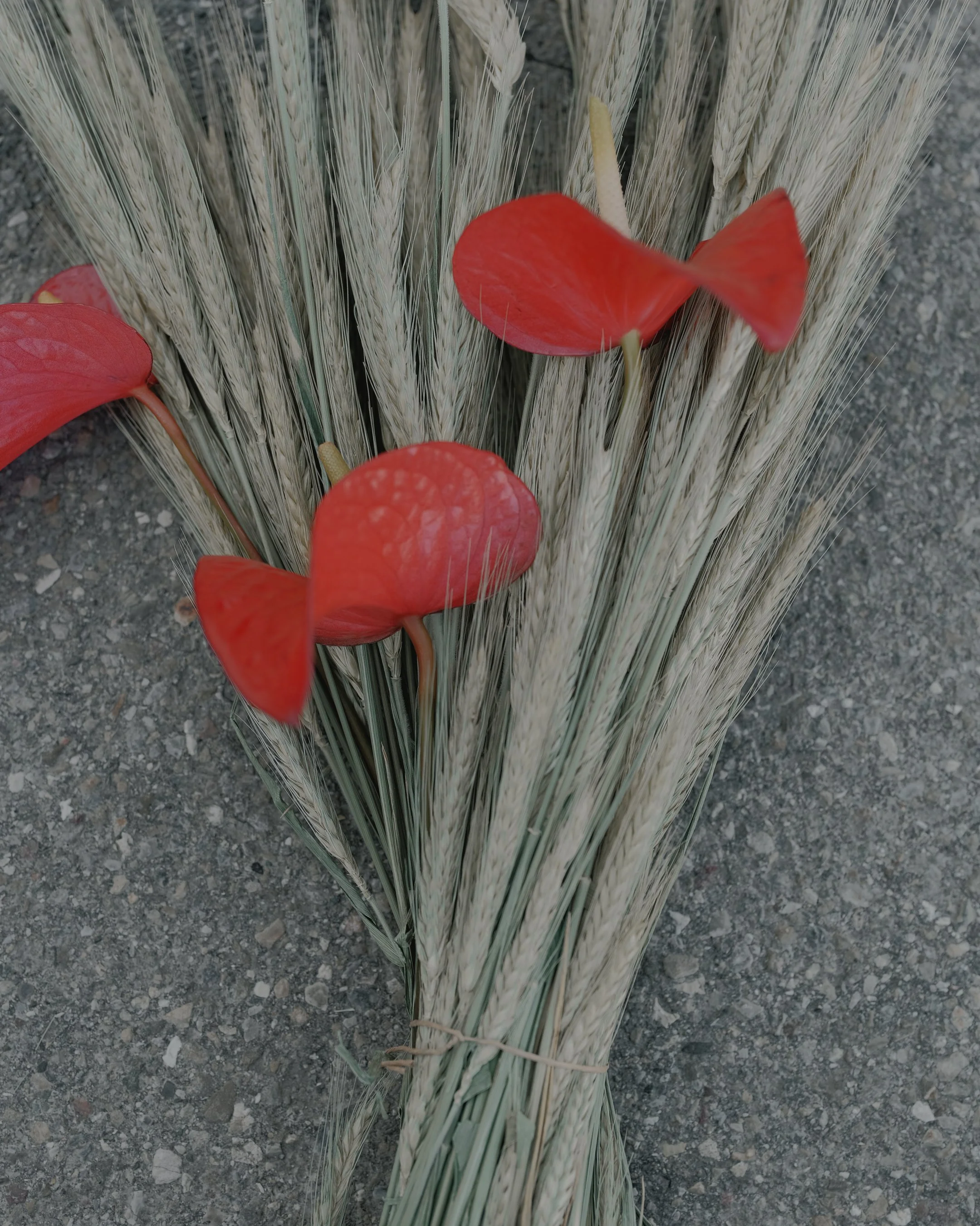 DSCF7045.jpg