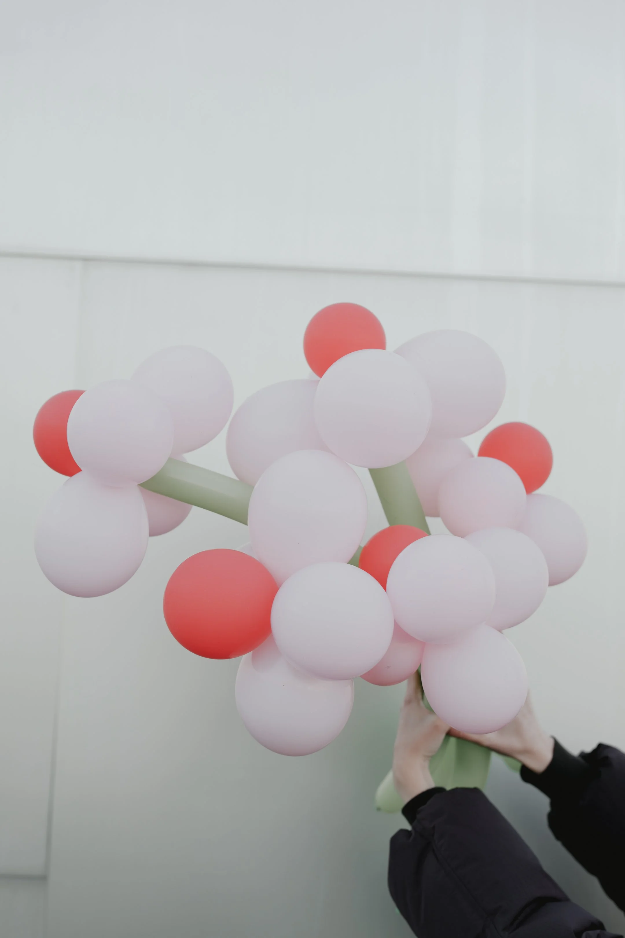 DSCF7073.jpg