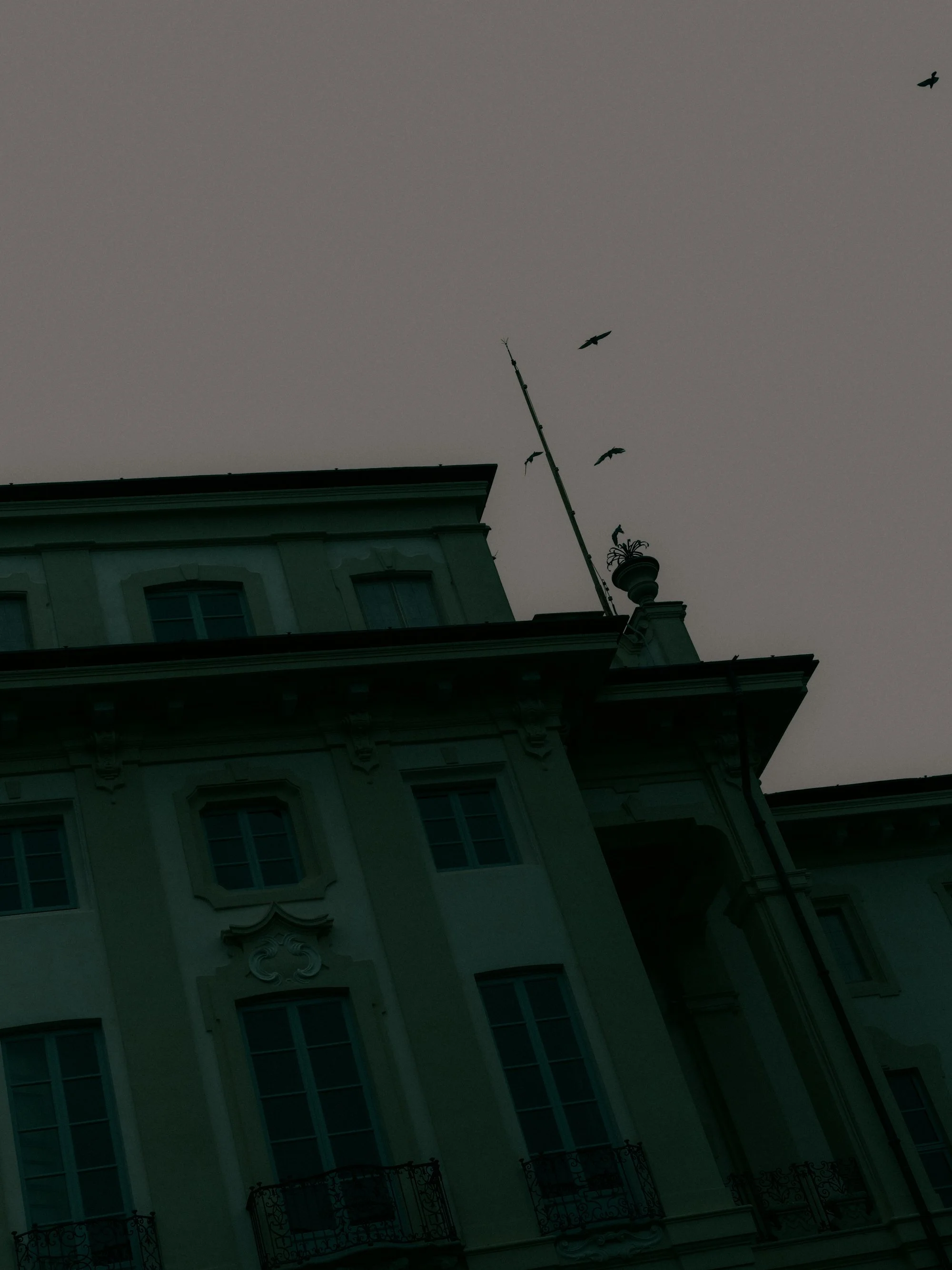 DSCF1958.jpg