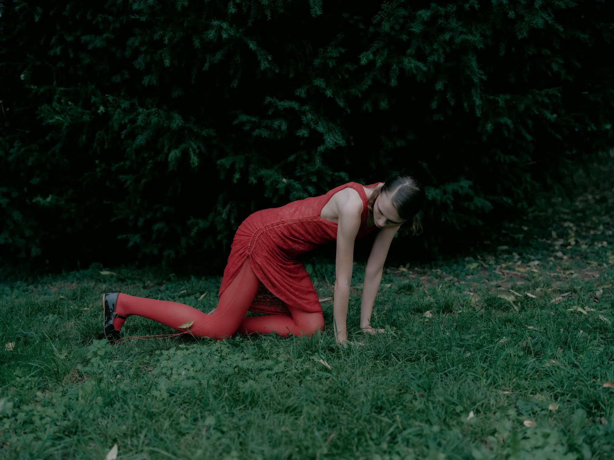 DSCF1976.jpg