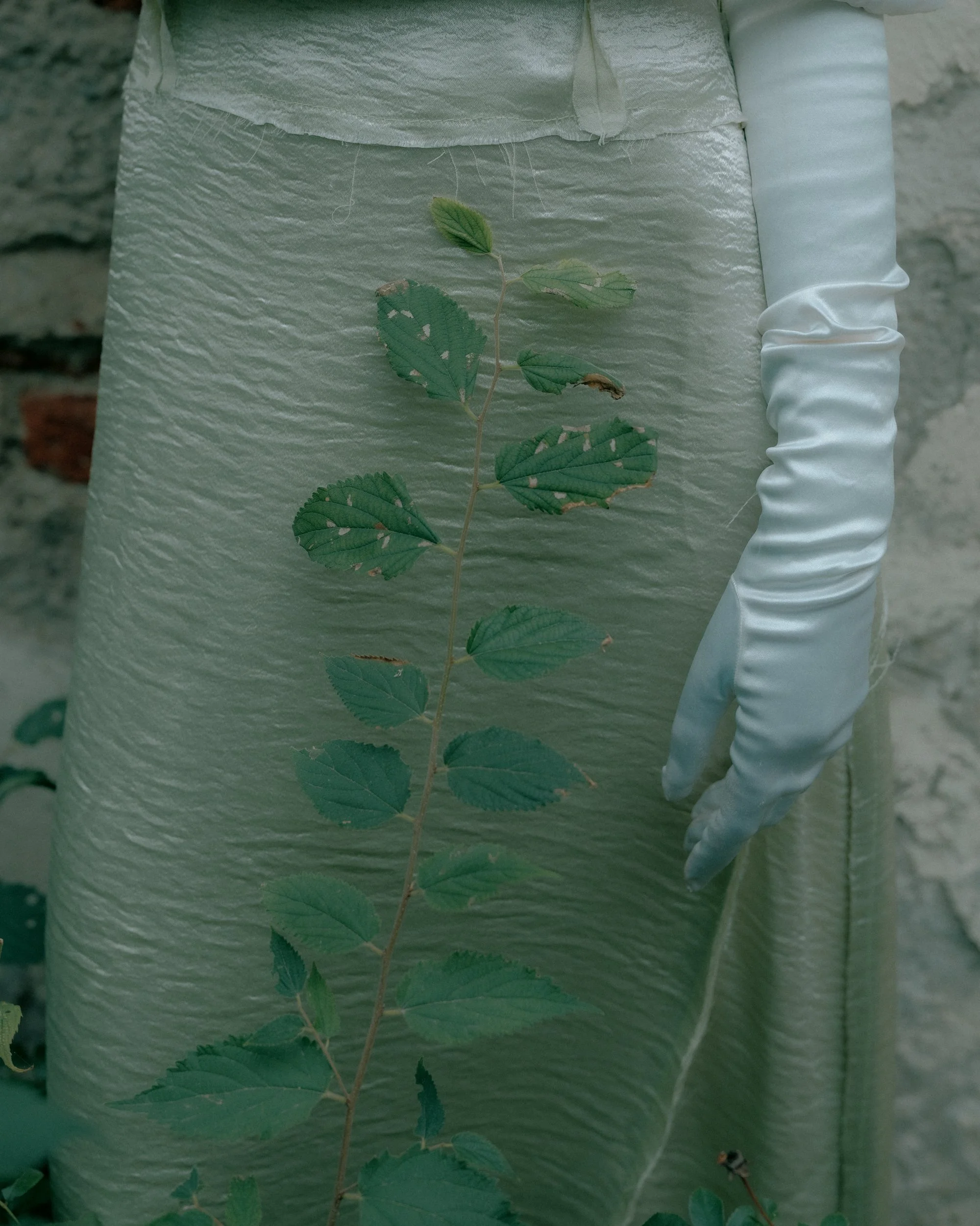 DSCF2190.jpg