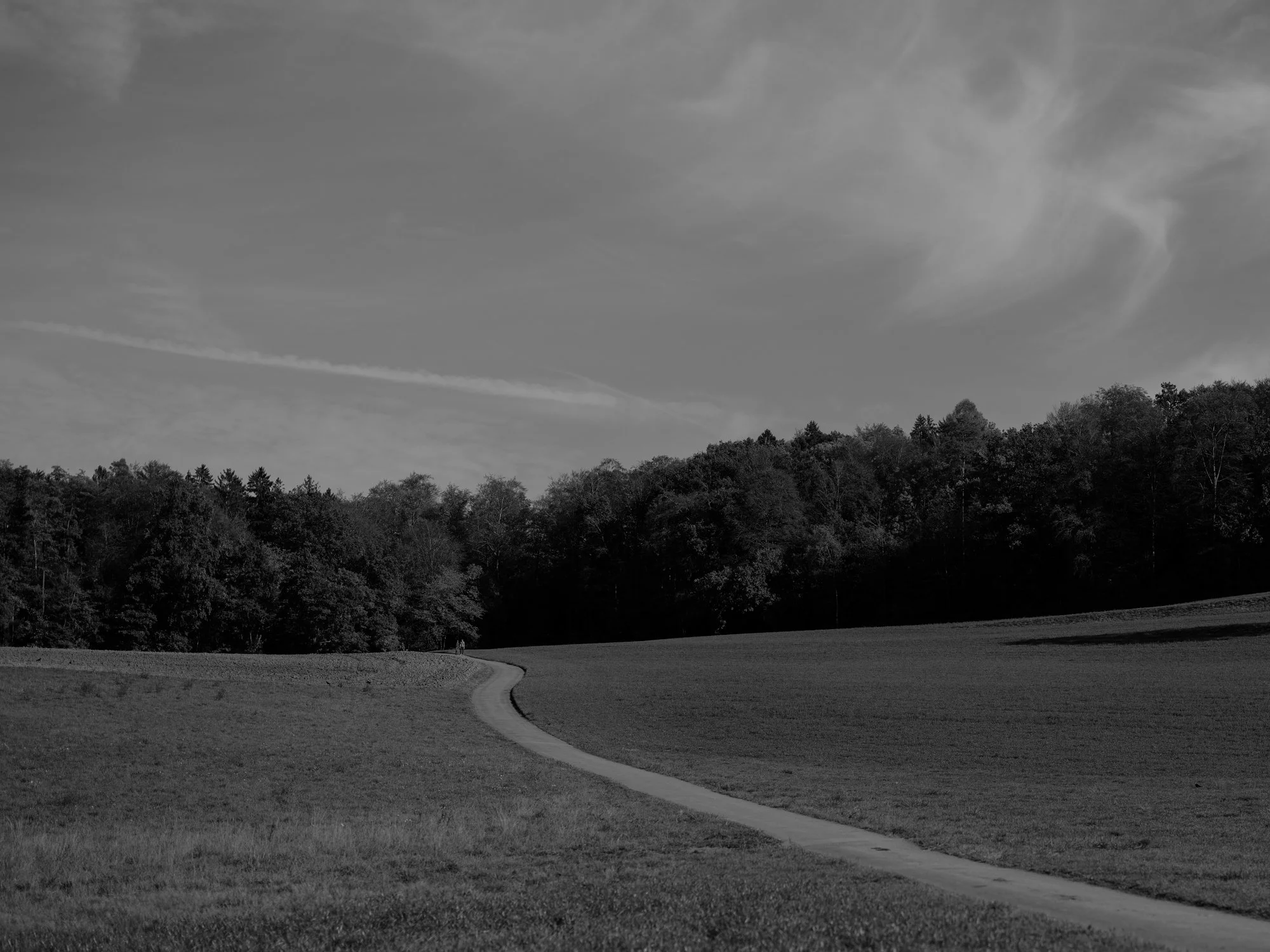 DSCF0431.jpg