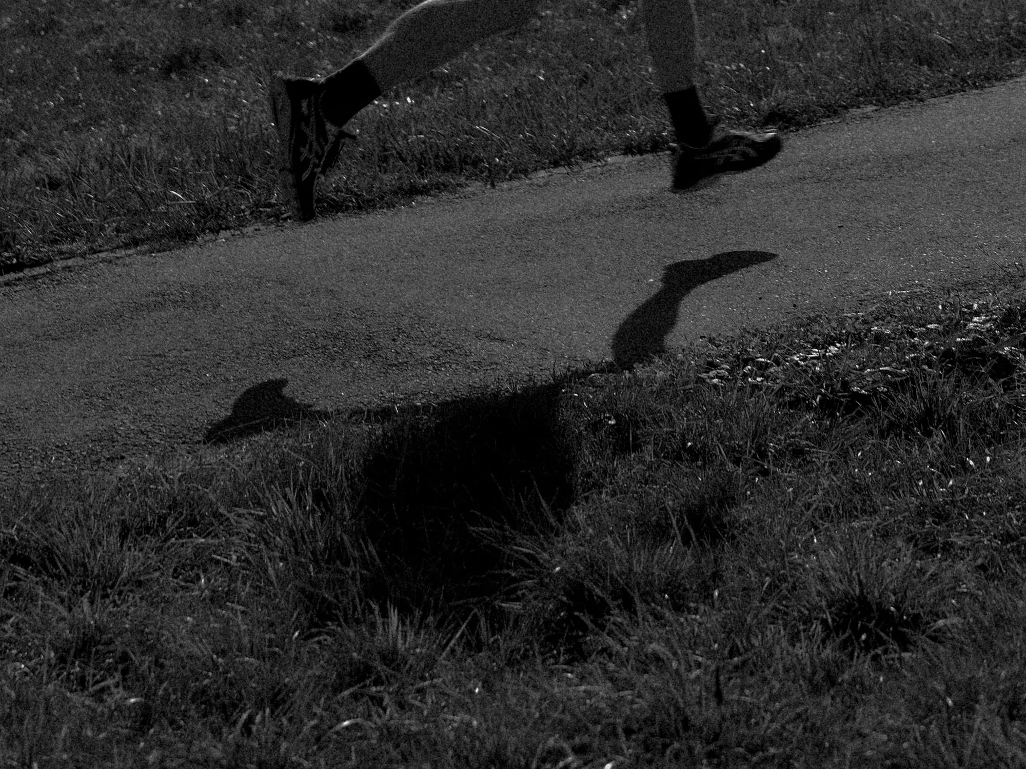 DSCF0534.jpg