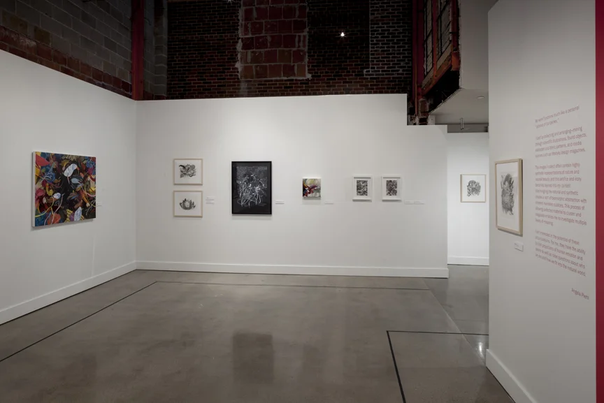 OSUMA install8.jpg