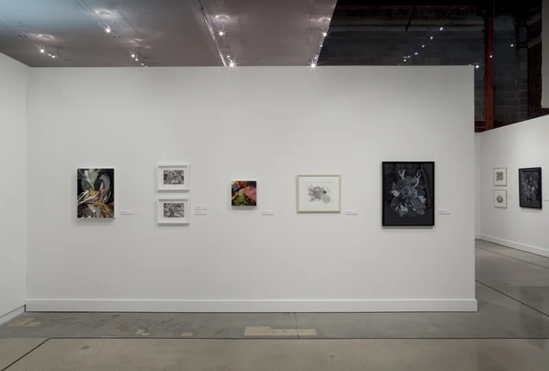 OSUMA install6.jpg
