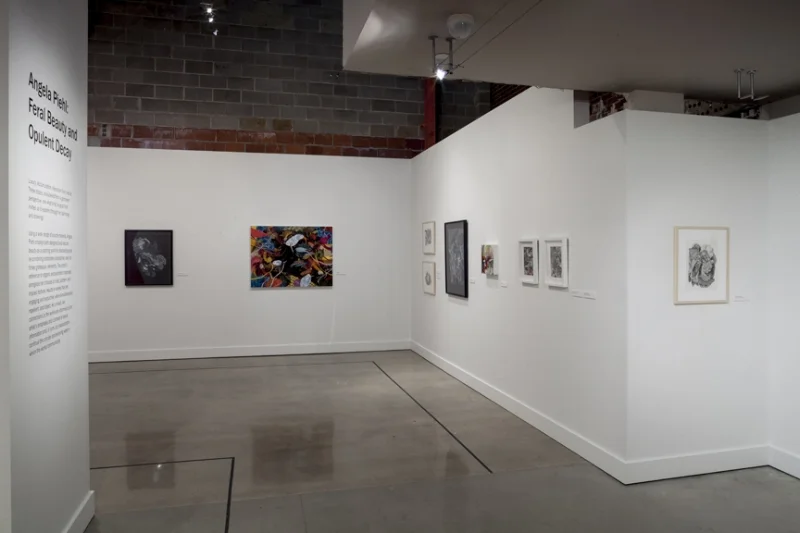 OSUMA install7.jpg