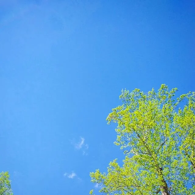 Quarantining on the Farm: Big blue sky today.

#covid19 #farmlife