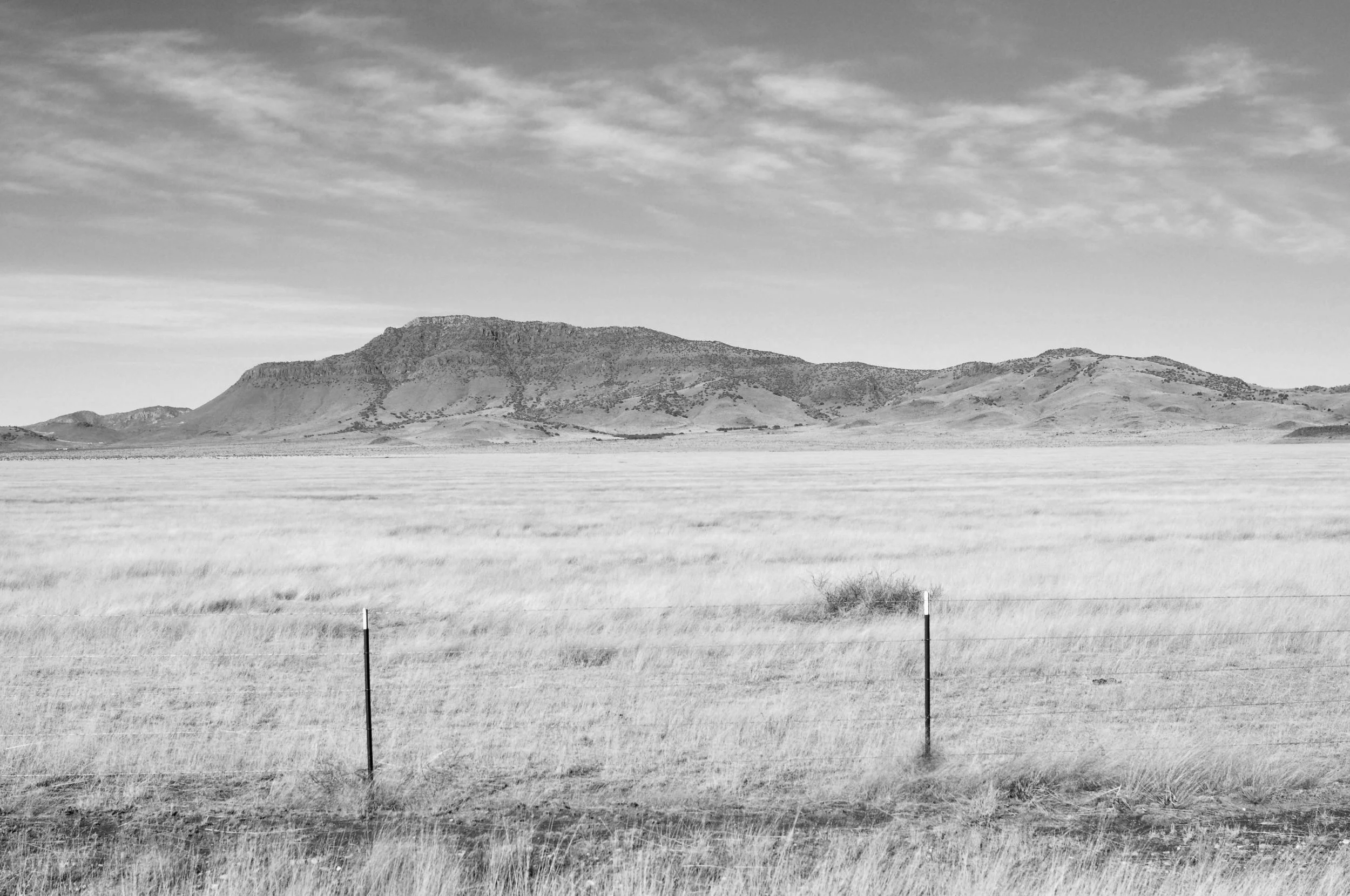 dsc_1116.jpg