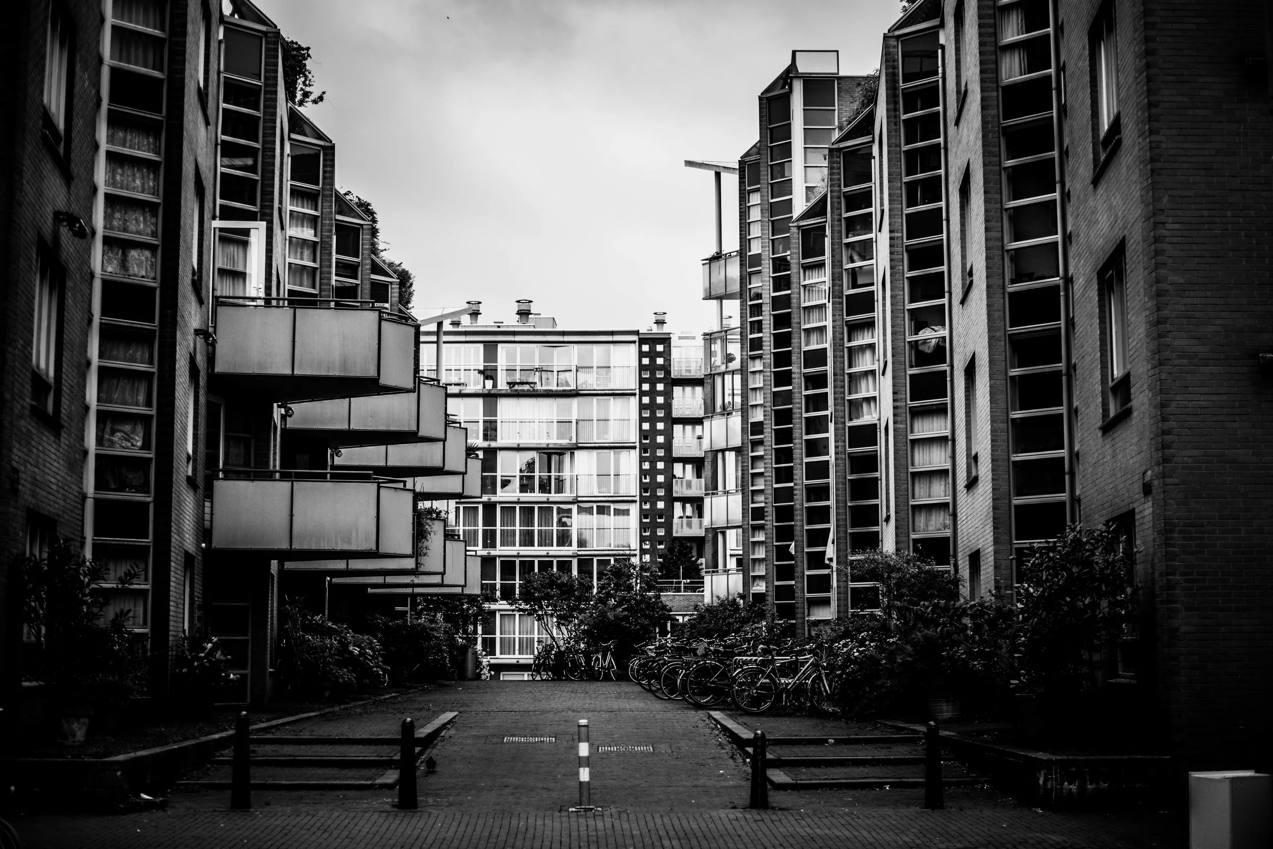 amsterdam (11 of 16).jpg