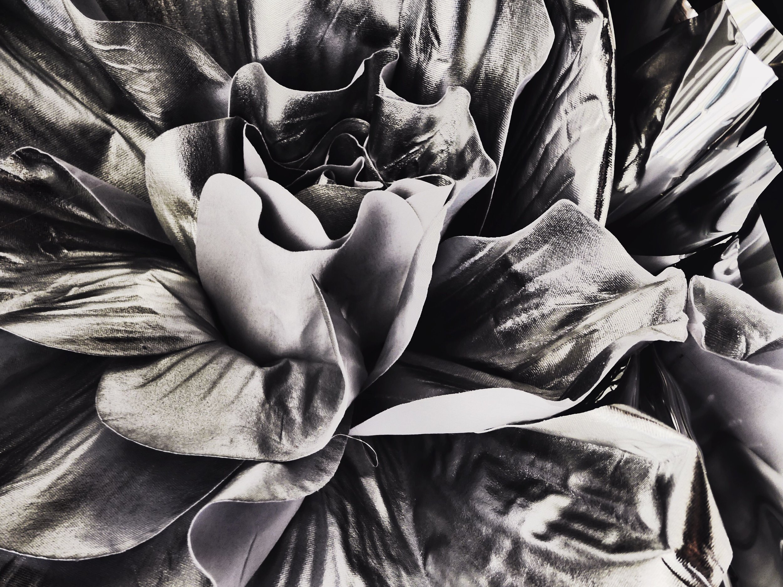 floral 19.jpeg