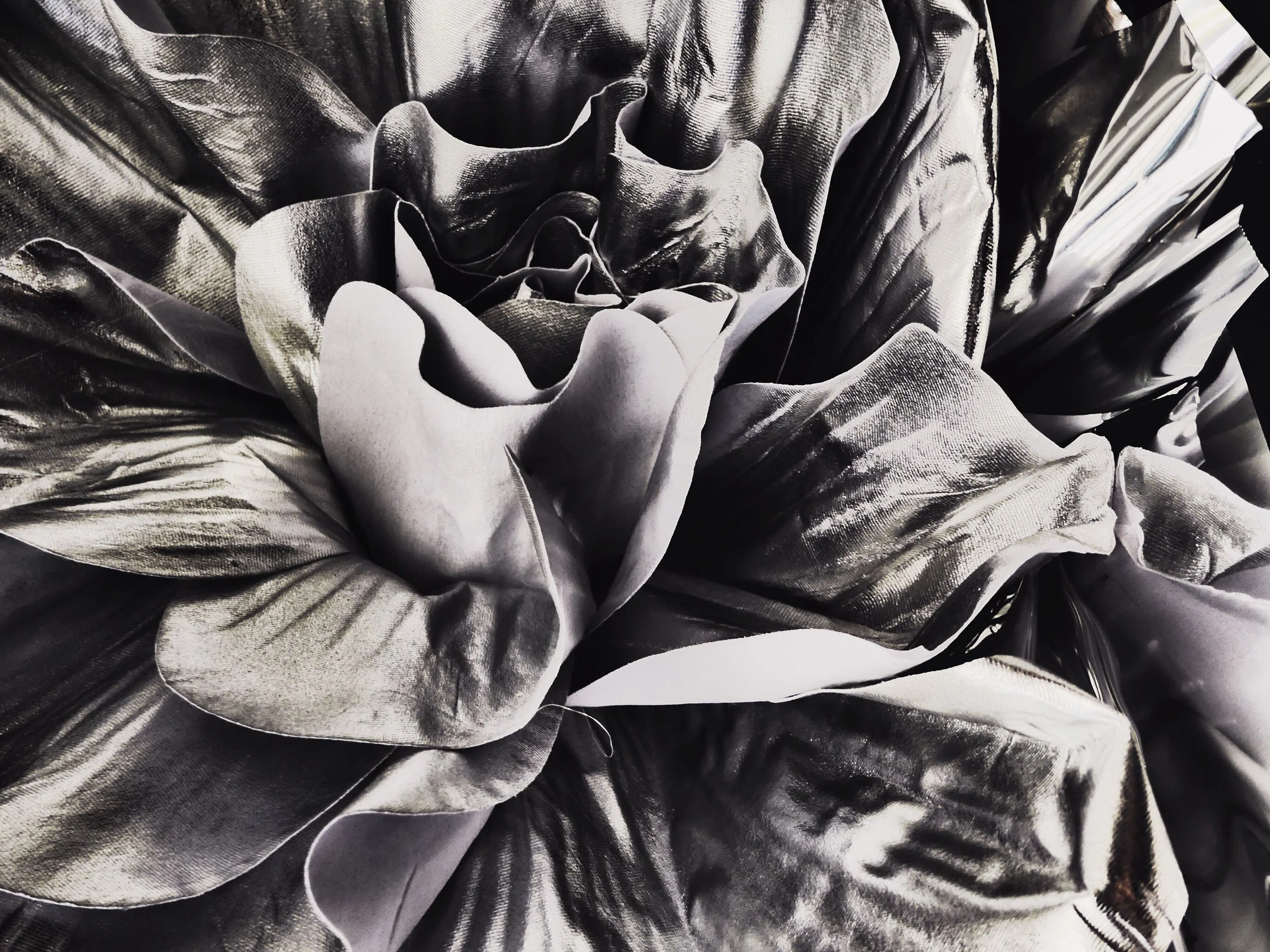 floral 19.jpeg