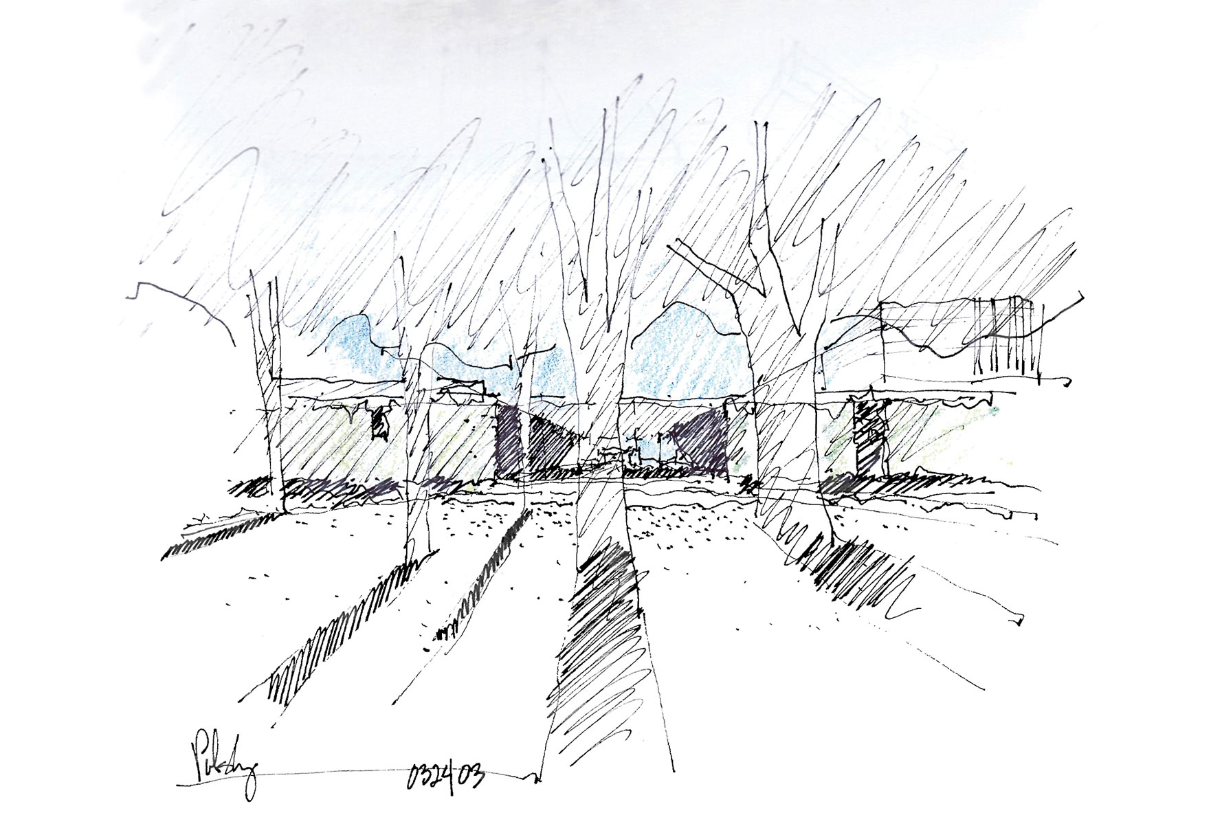sketch.jpg
