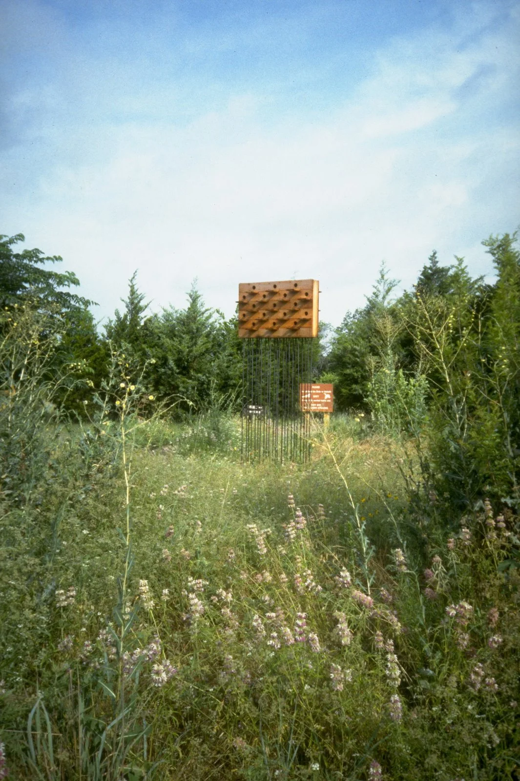 SH12.jpg