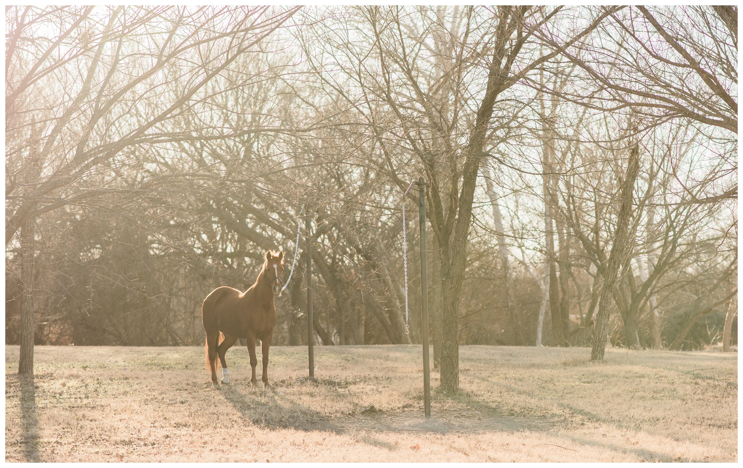 RFC_ Schaefer EQ Styled Shoot_225-blg_blog.jpg
