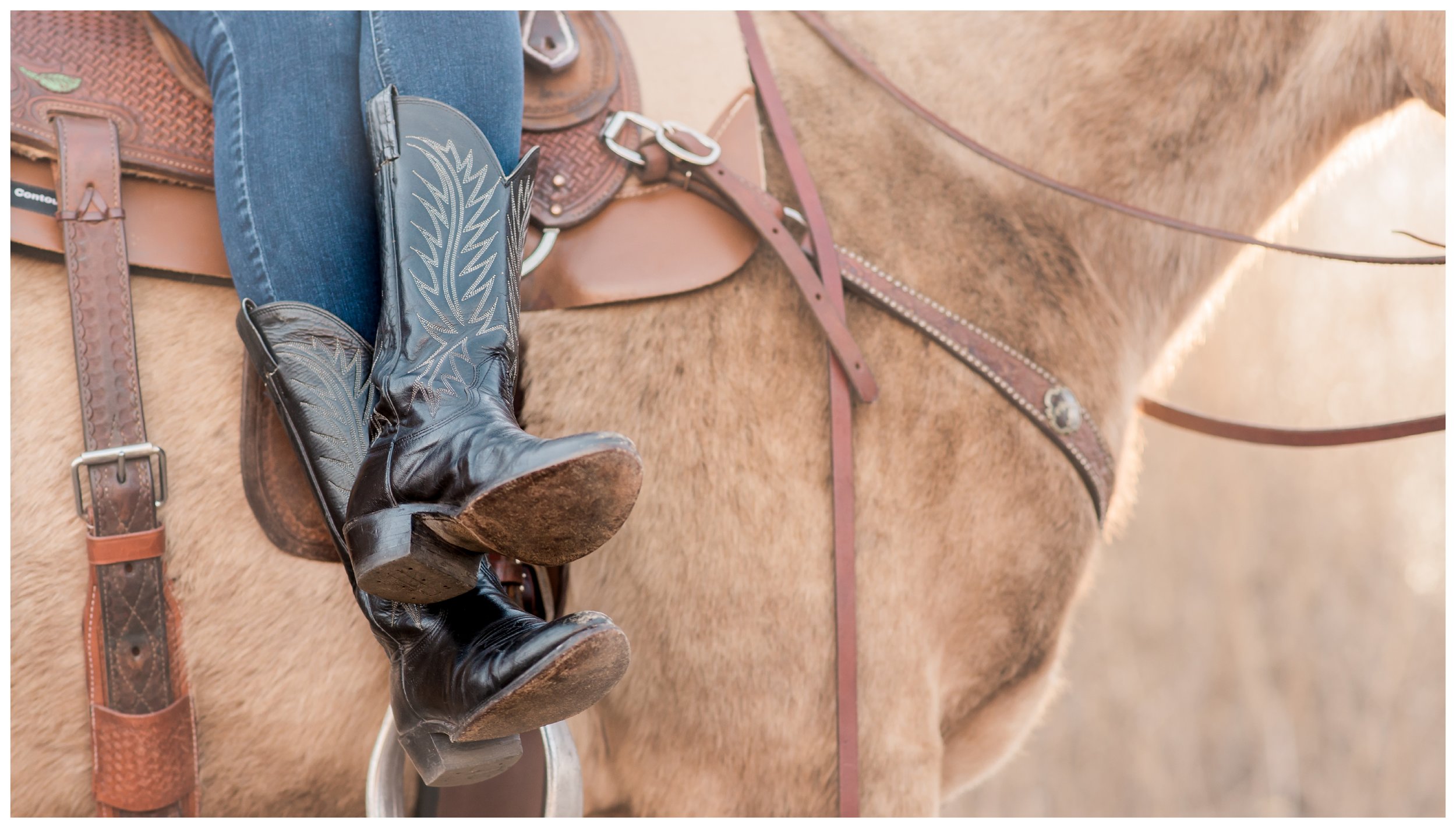 RFC_ Schaefer EQ Styled Shoot_319-blg_blog.jpg
