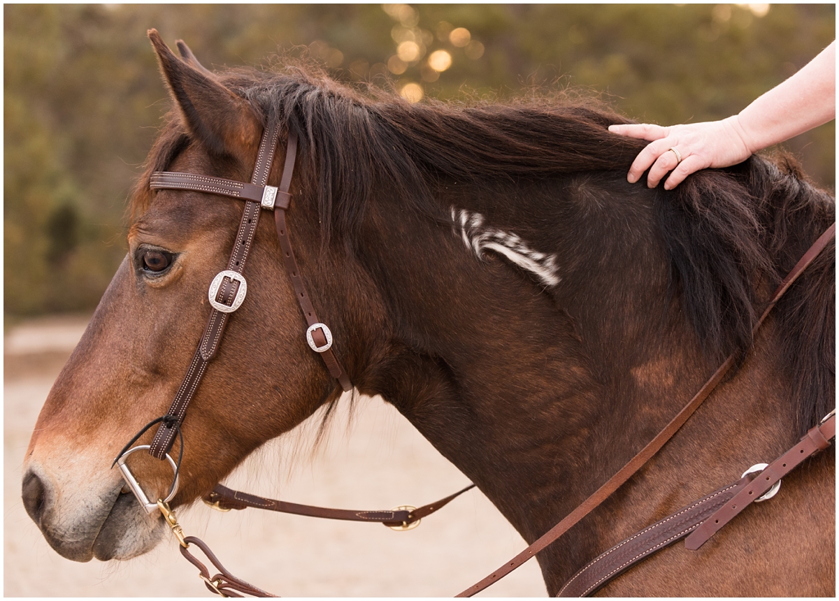 Midland Texas Family Equine Portrait Photography