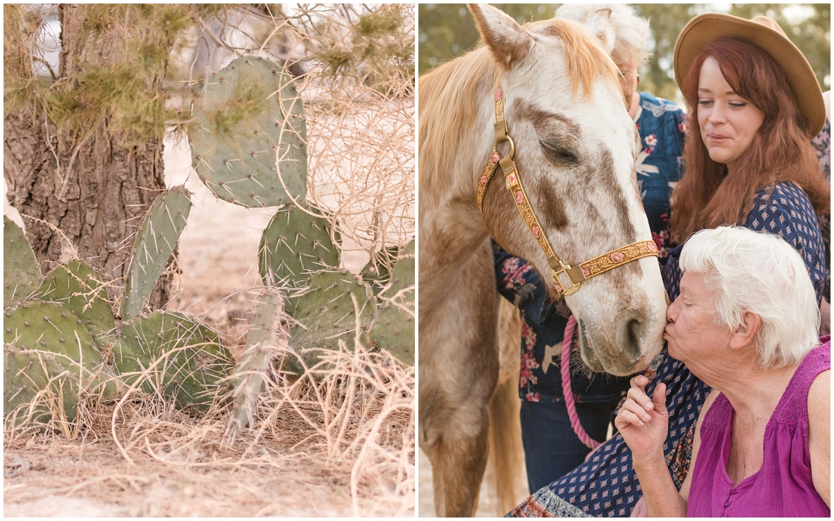 Midland Texas Family Equine Portrait Photography