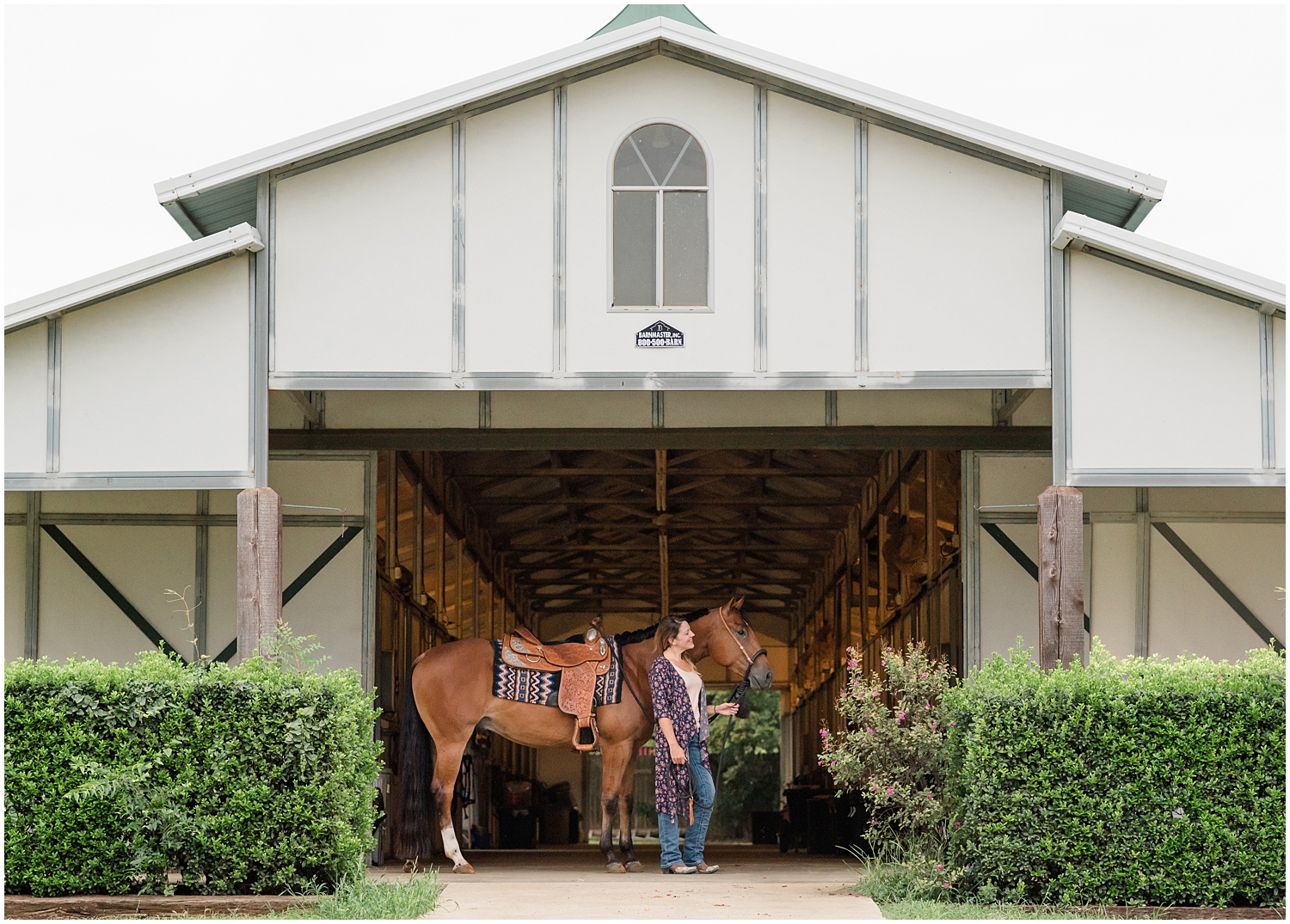 Western Pleasure Prospect Equine Portrait Session
