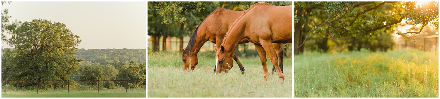 Barn and pasture by Oklahoma Horse Photographer Rachel Griffin Photographer