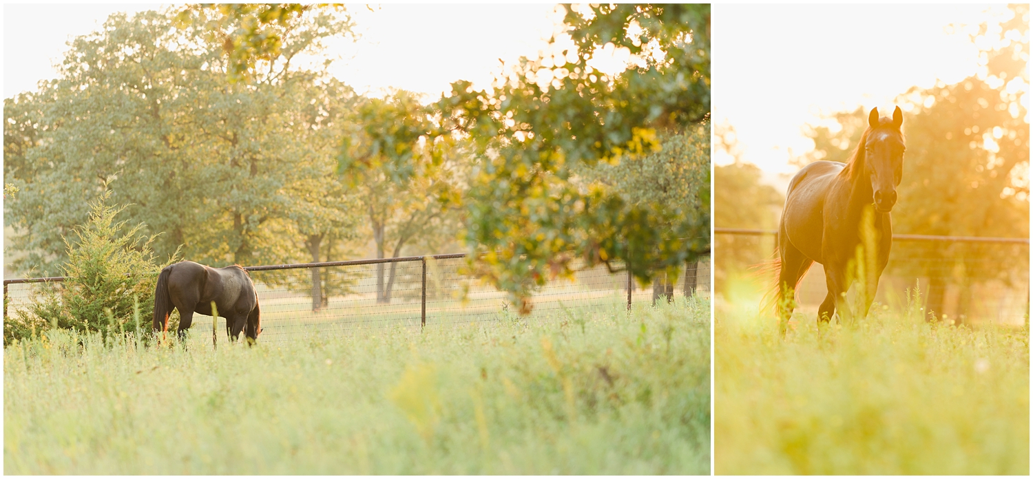 Barn and pasture by Oklahoma Horse Photographer Rachel Griffin Photographer