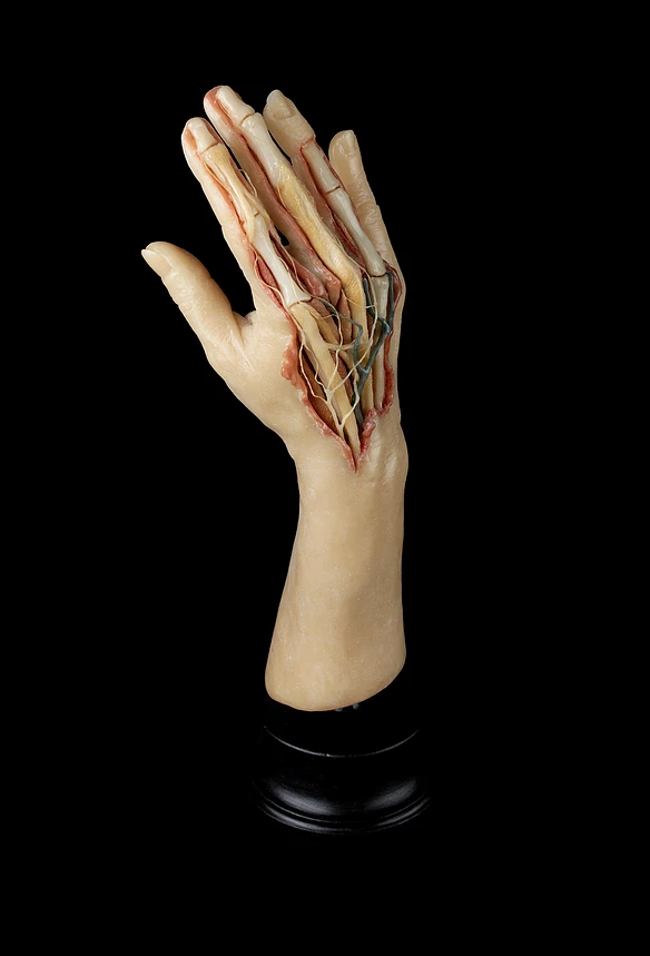 Screen shot 2018-09-19 at 9.19.36 AM.png