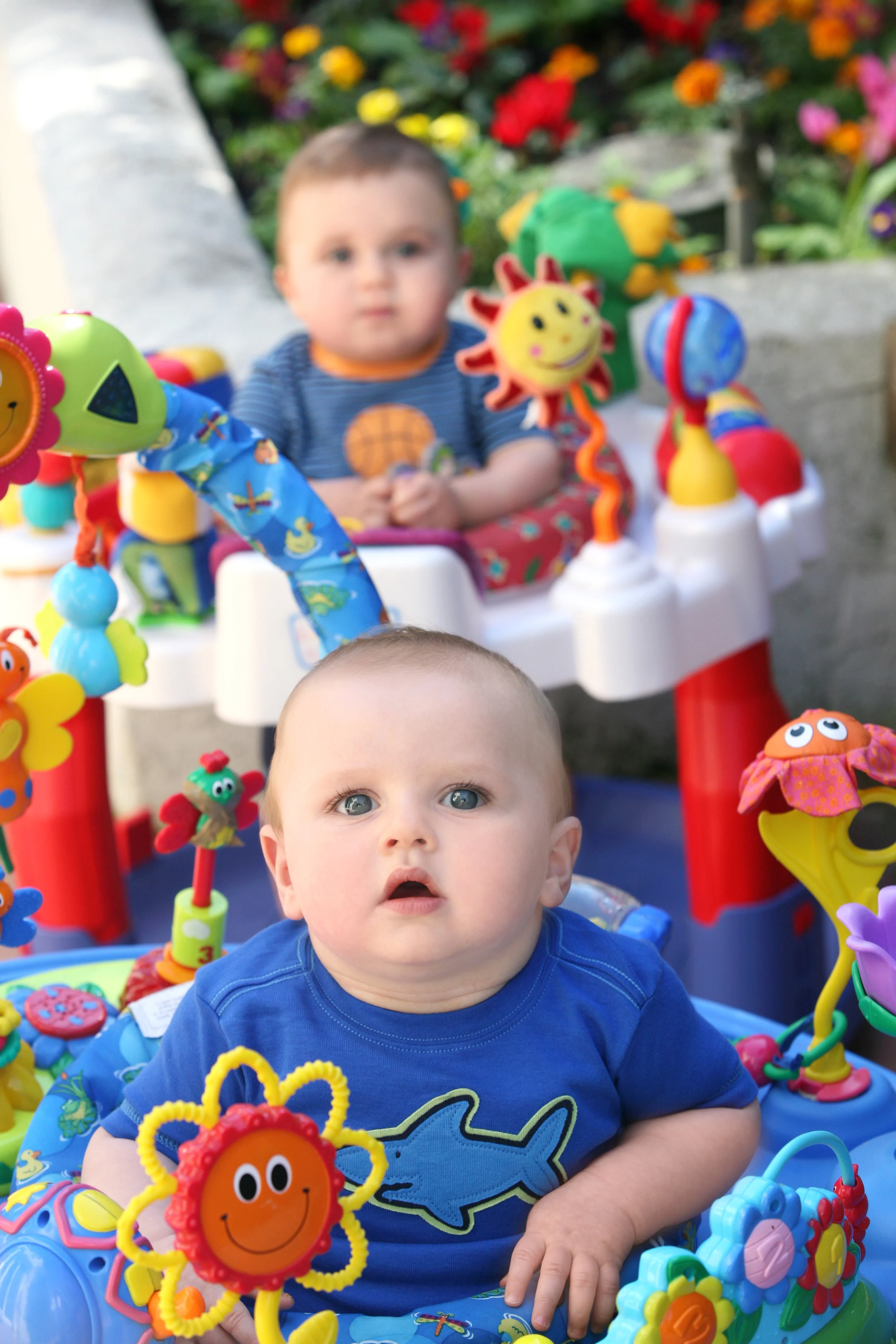 iStock_3035645_XLARGE.jpg