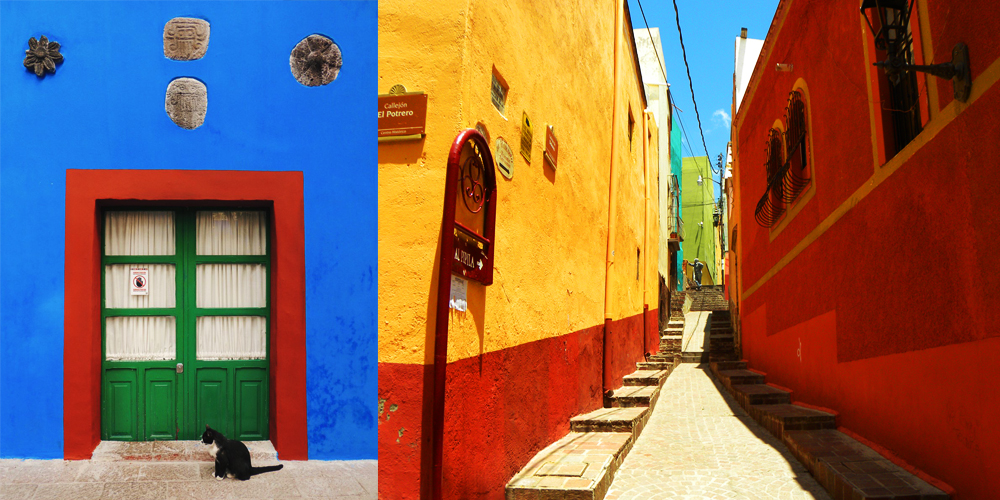 Bold reds, greens, blues and yellows