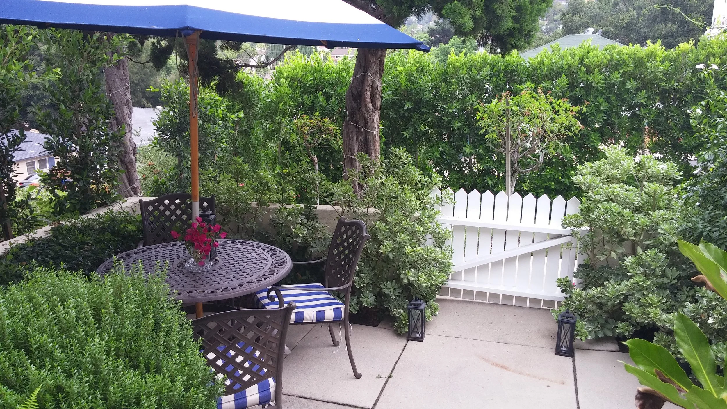 Linda Rosa Frontyard.jpg