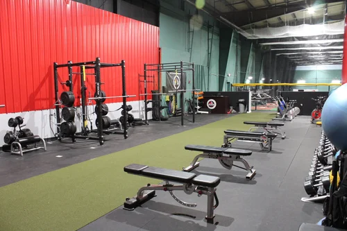Roots Athletic Development, business photo 4