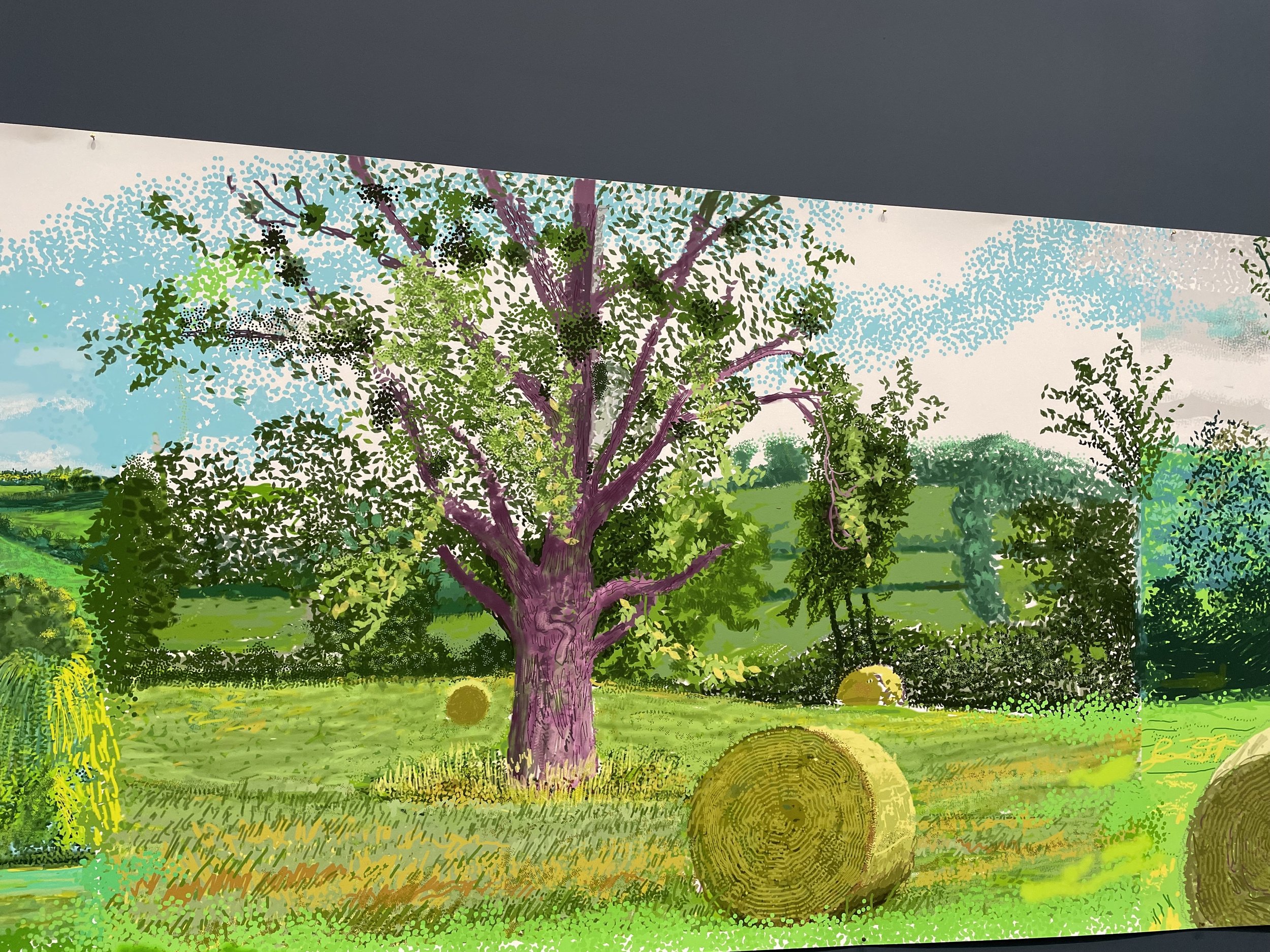 Orangerie - David Hockney - One Year in Normandie