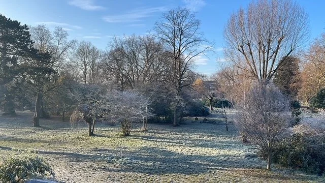 8378F280-8989-4B2F-9D1D-5C3903E77639 (1).JPG