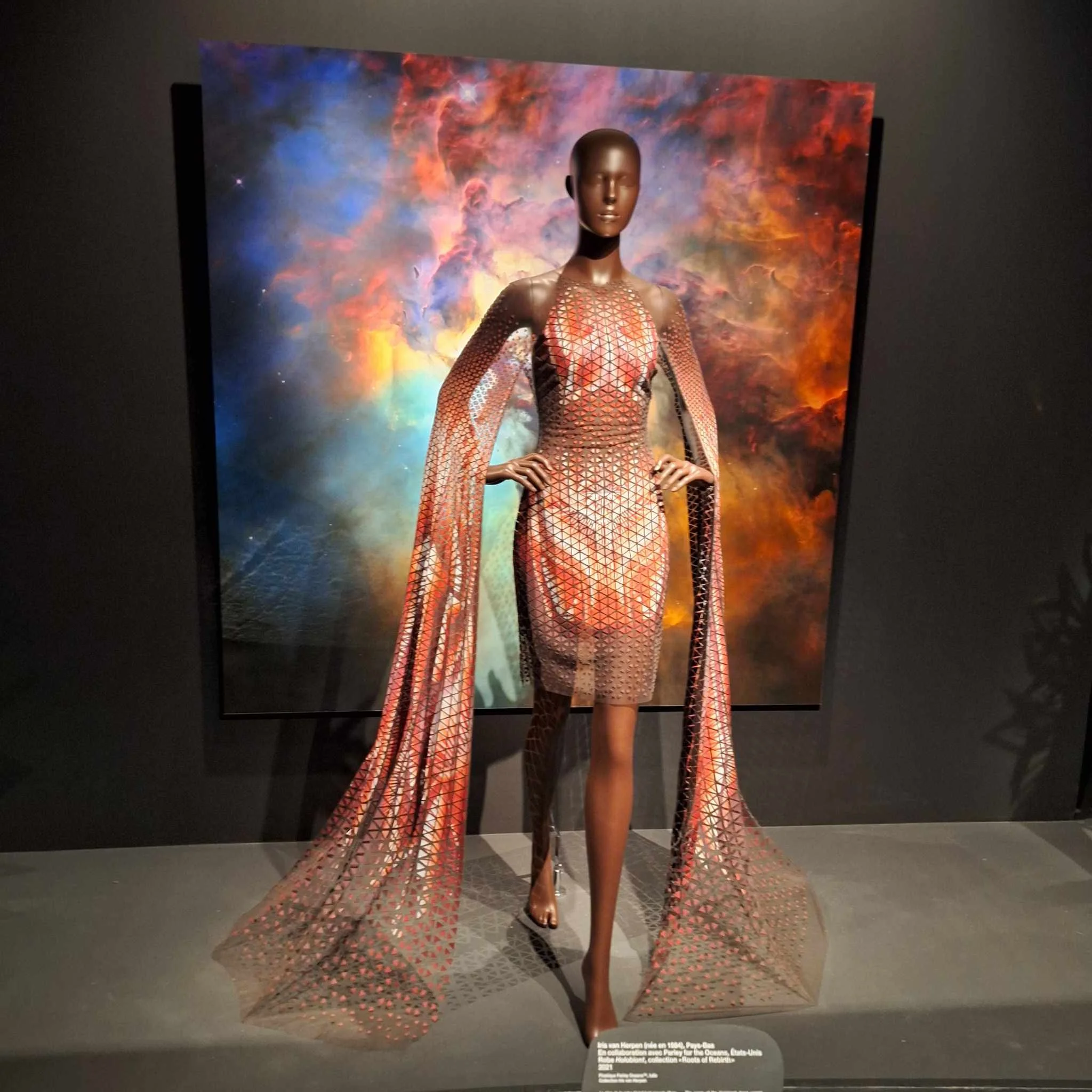 Iris Van Herpen exhibition in Paris - December 2023