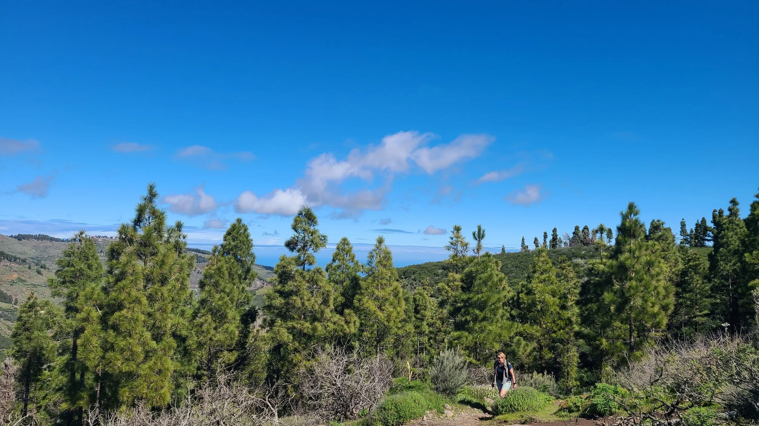  Hiking in Gran Canaria 