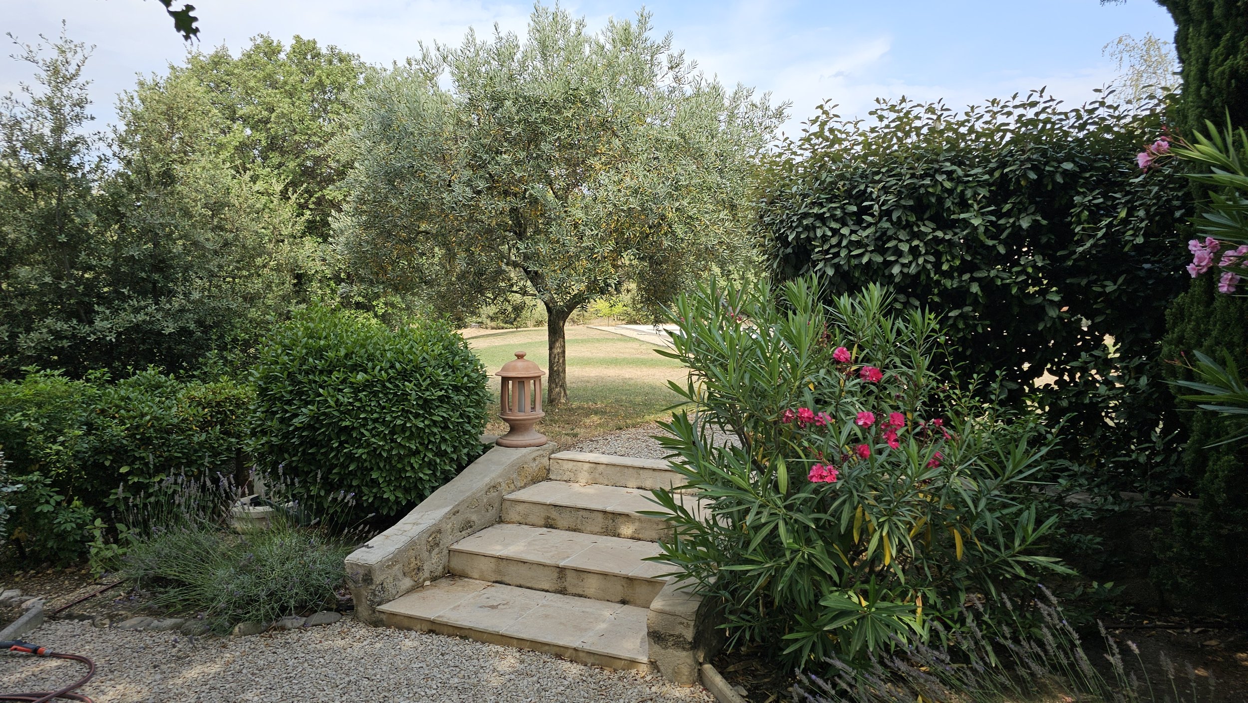 La Luberonne - Jardin