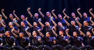 Murmuration Sadlers Well