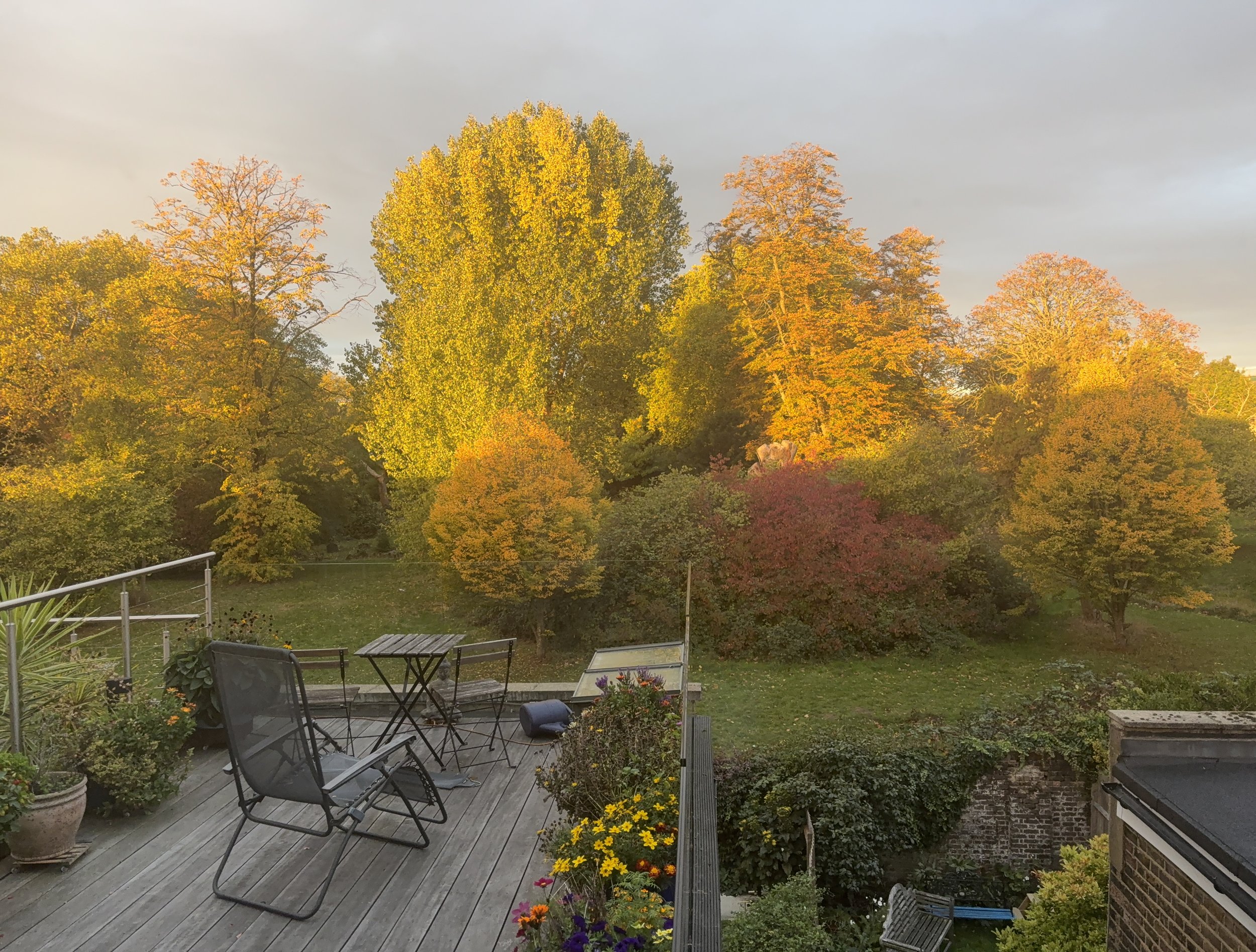 Our Home in London in the fall