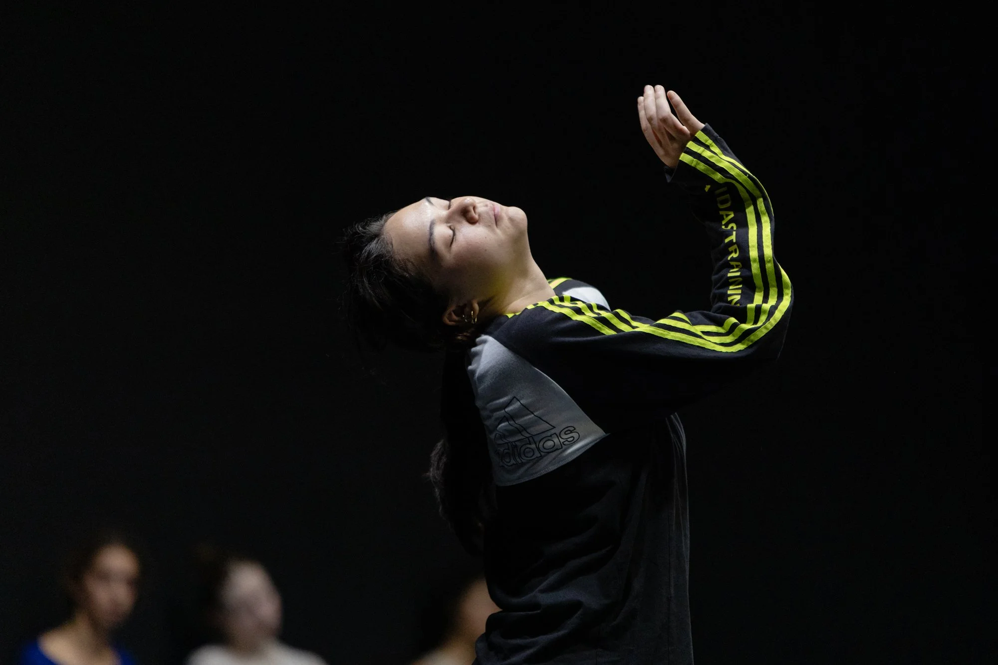 Five days in the sun @ Montpellier Danse, Opéra Berlioz-Le Corum (FR)