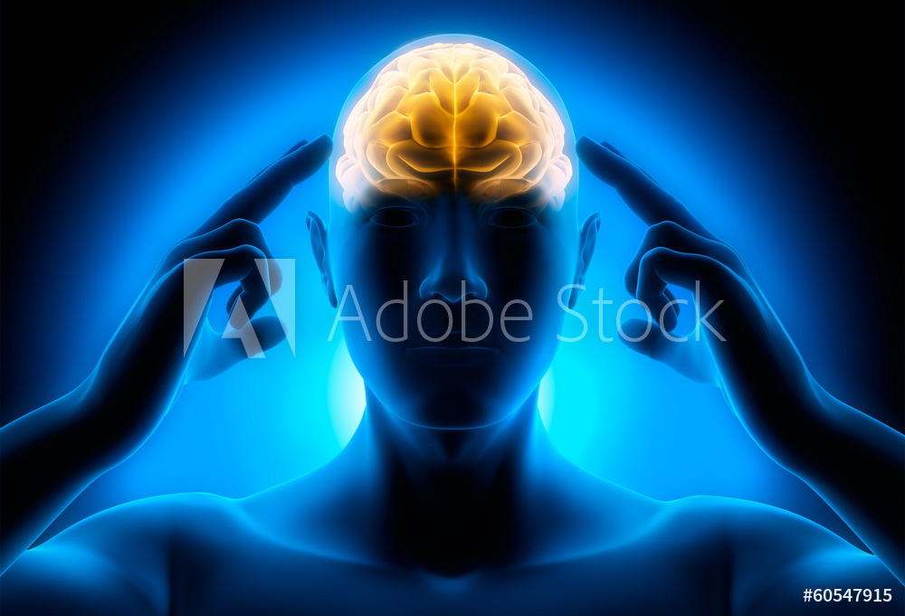AdobeStock_60547915_WM.jpeg