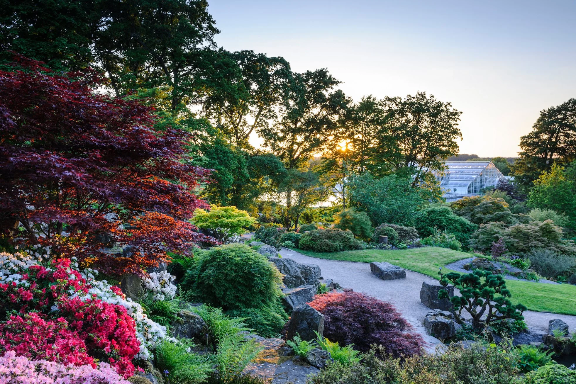 View from the Rock Garden towards the Glasshouse in Spring at RHS Garden Wisley. Image Credit: RHS / Jason Ingram ©RHS