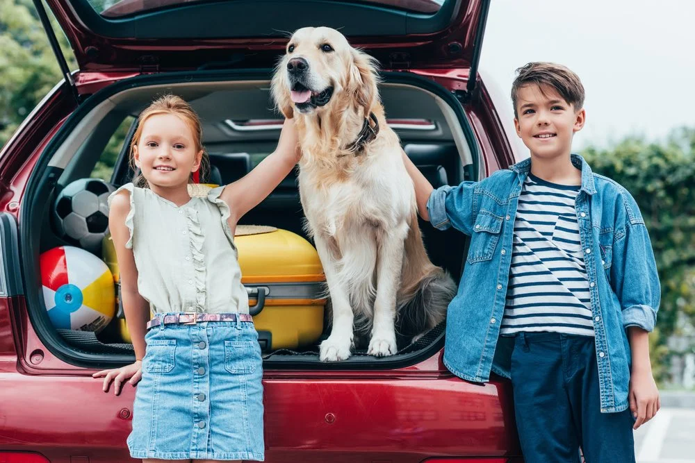  Develop a Dog-Friendly Dealership Environment